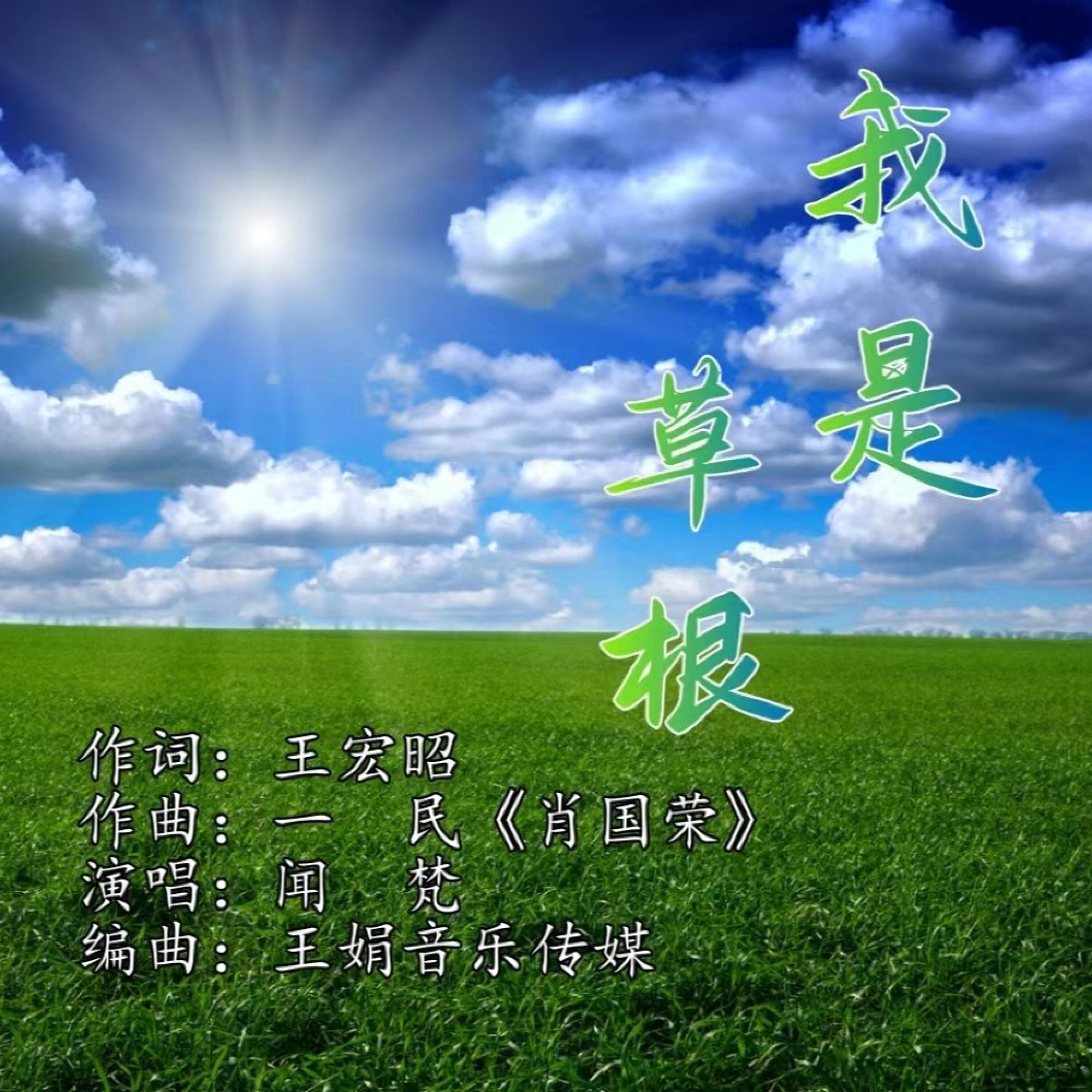 Релиз 我是草根