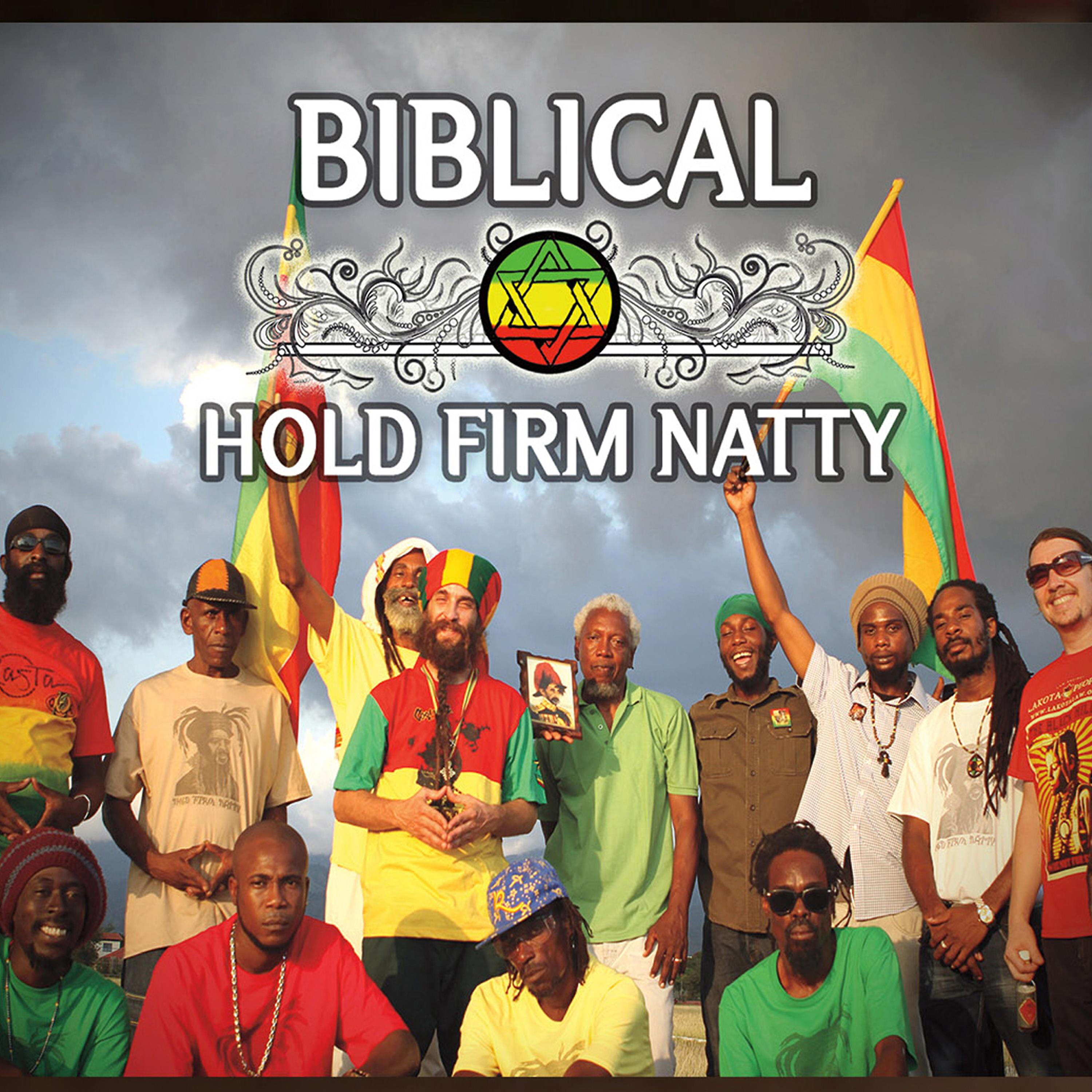 Релиз Hold Firm Natty