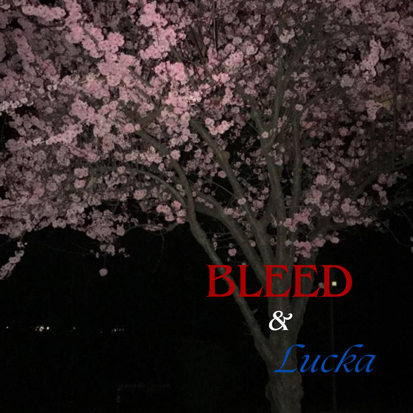 Релиз Cherry Trees