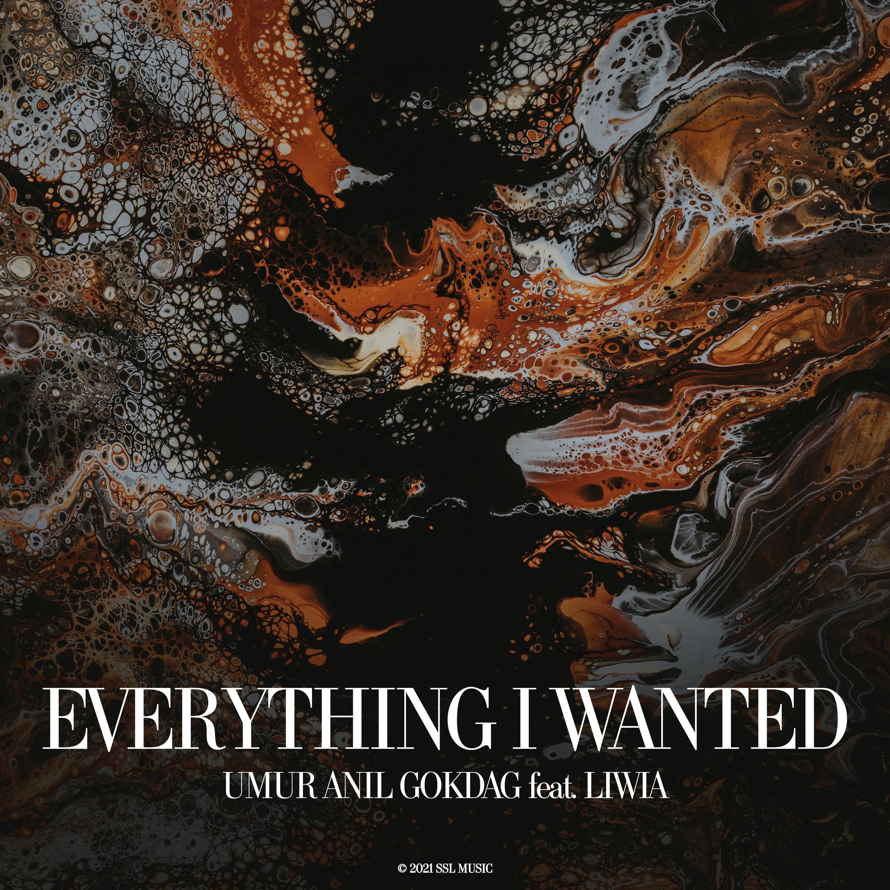 Релиз Everything I Wanted