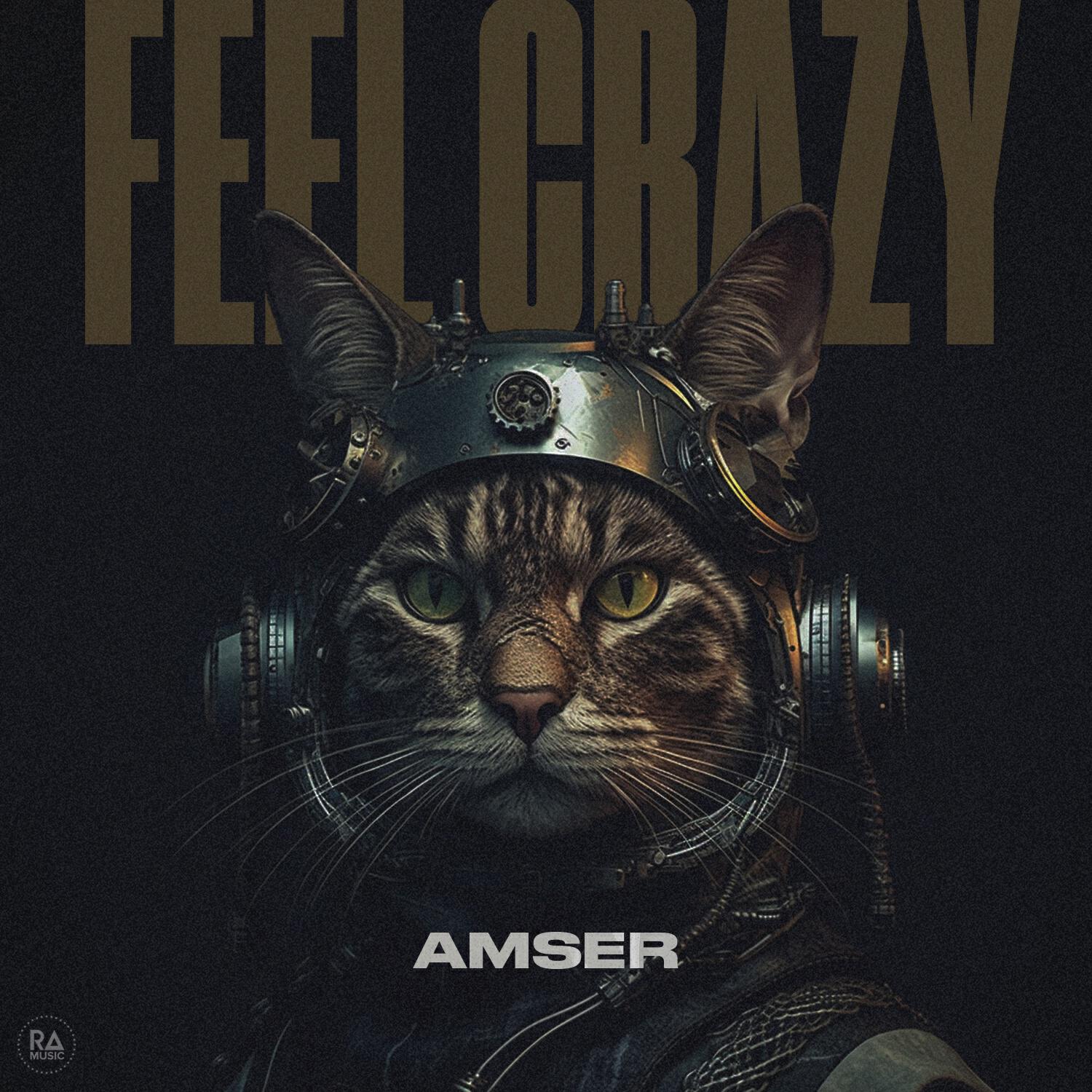 Релиз Feel Crazy