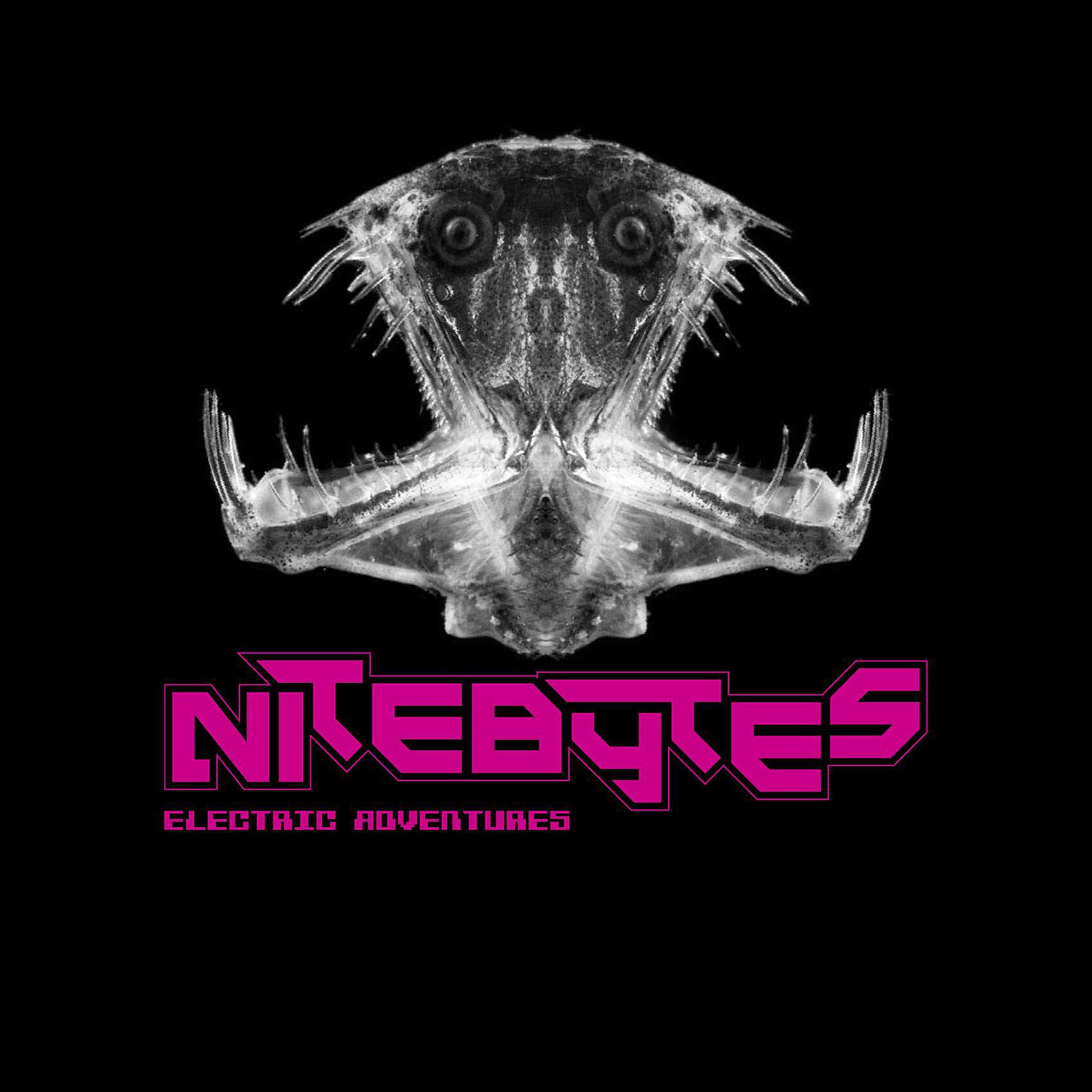 Релиз Electric Adventures