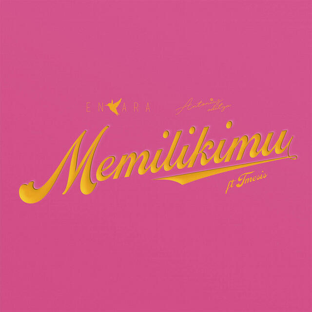 Релиз Memilikimu (feat. Tmesis)