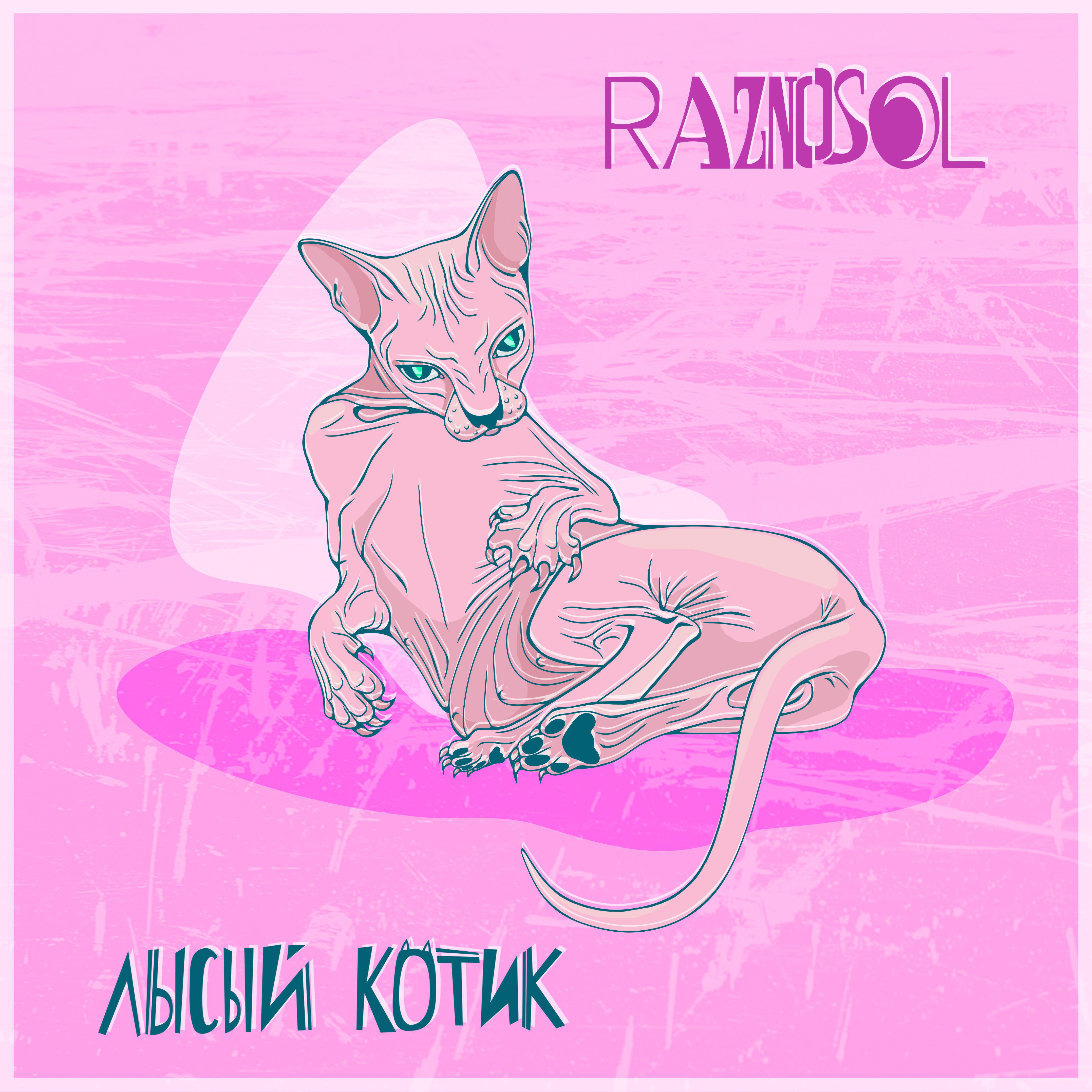 Релиз Лысый котик