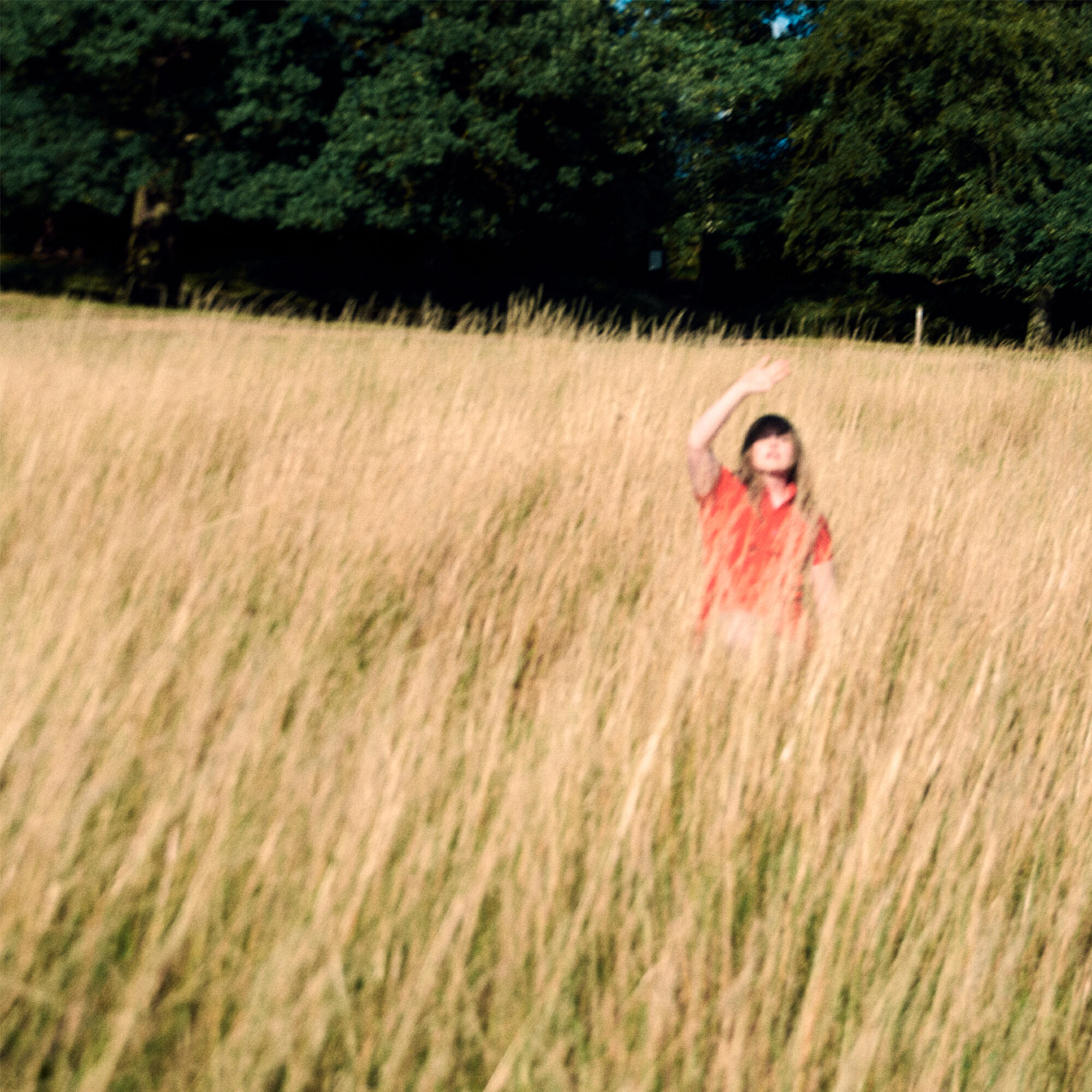 Релиз Carried Away