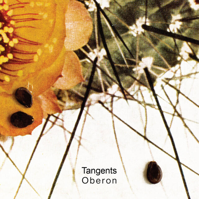 Релиз Oberon