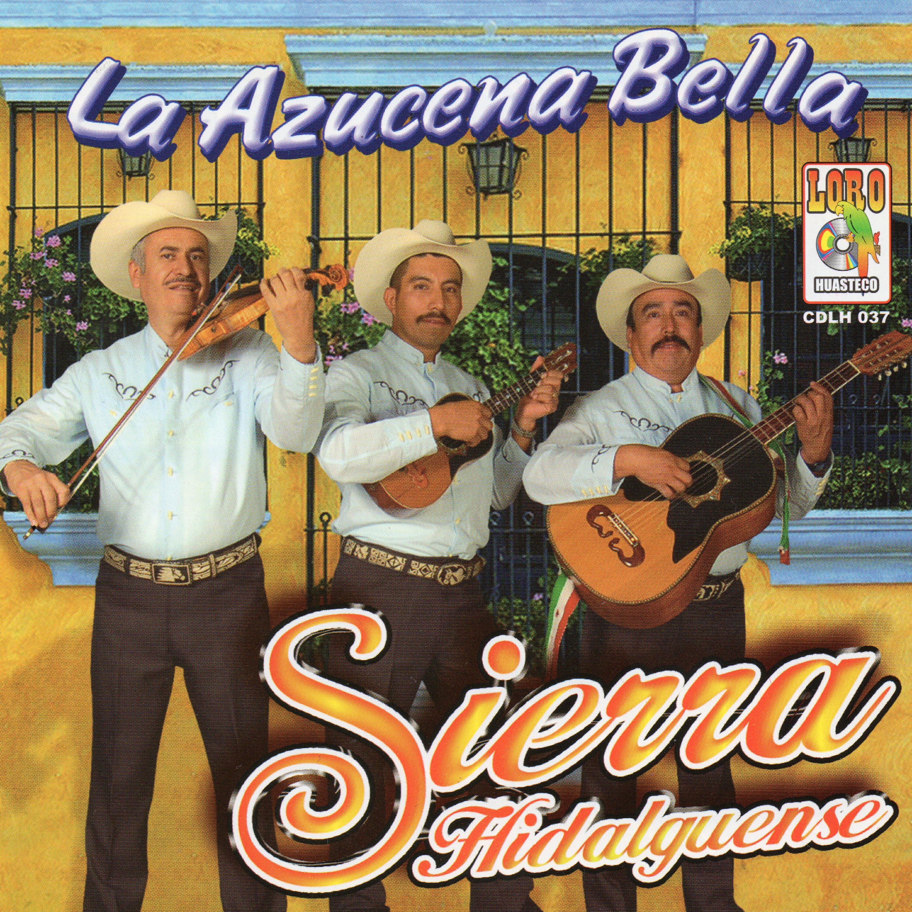trio sierra hidalguense