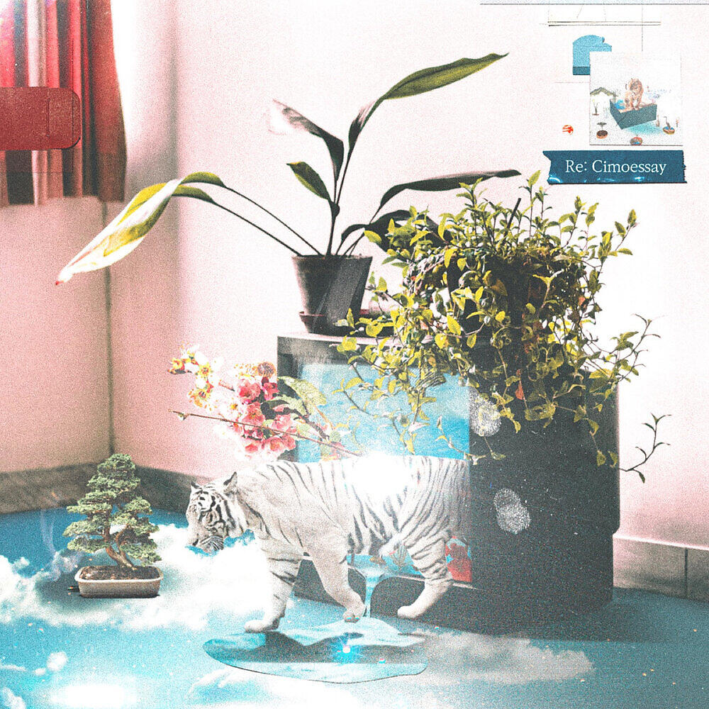 Релиз Re: Cimoessay