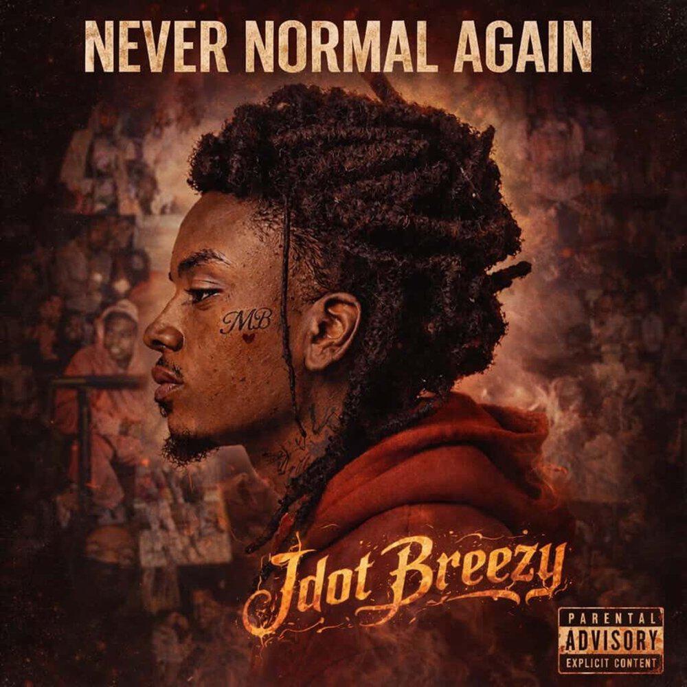 Релиз Never Normal Again