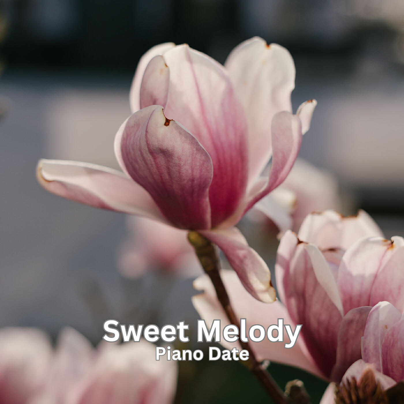 Релиз Sweet Melody