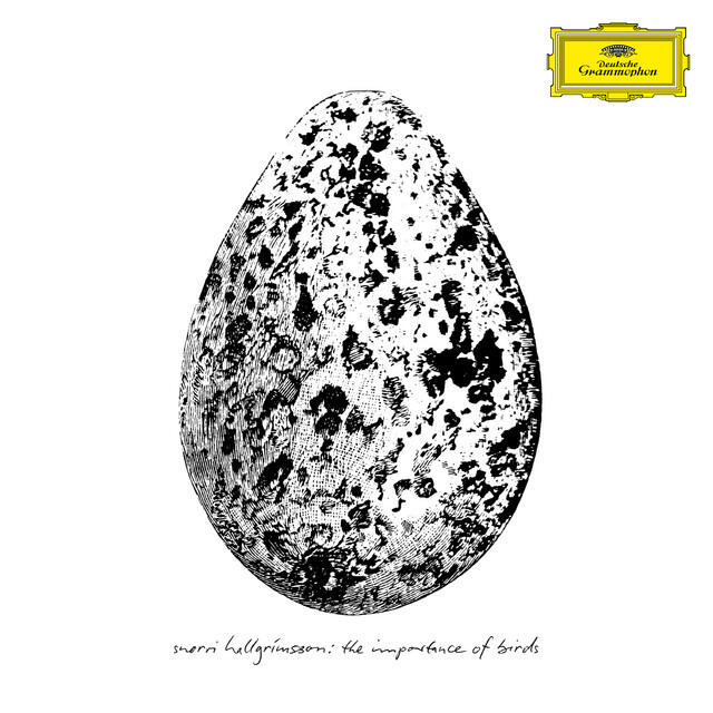 Релиз The Importance of Birds