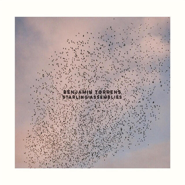 Релиз Starling Assemblies