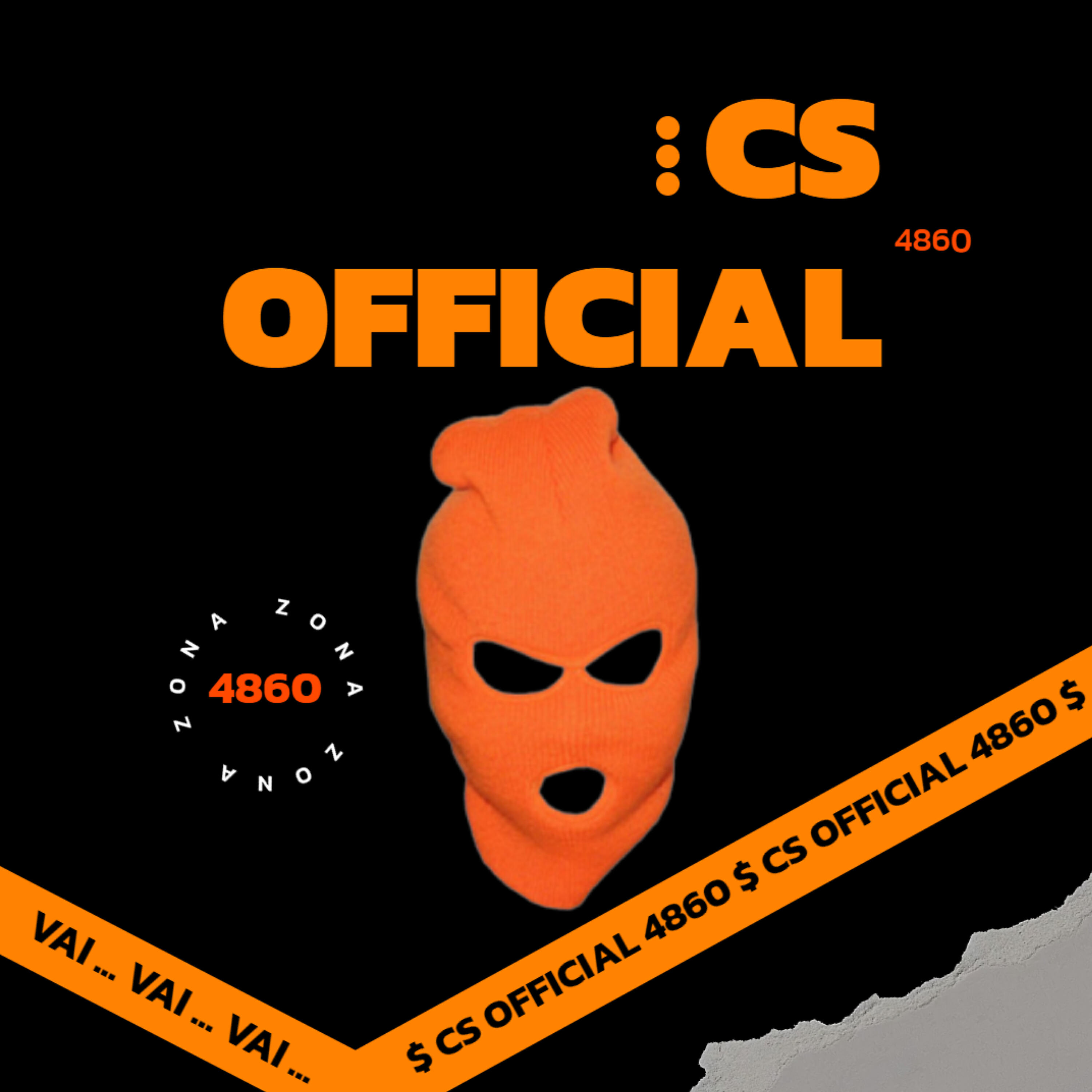 CS 4860