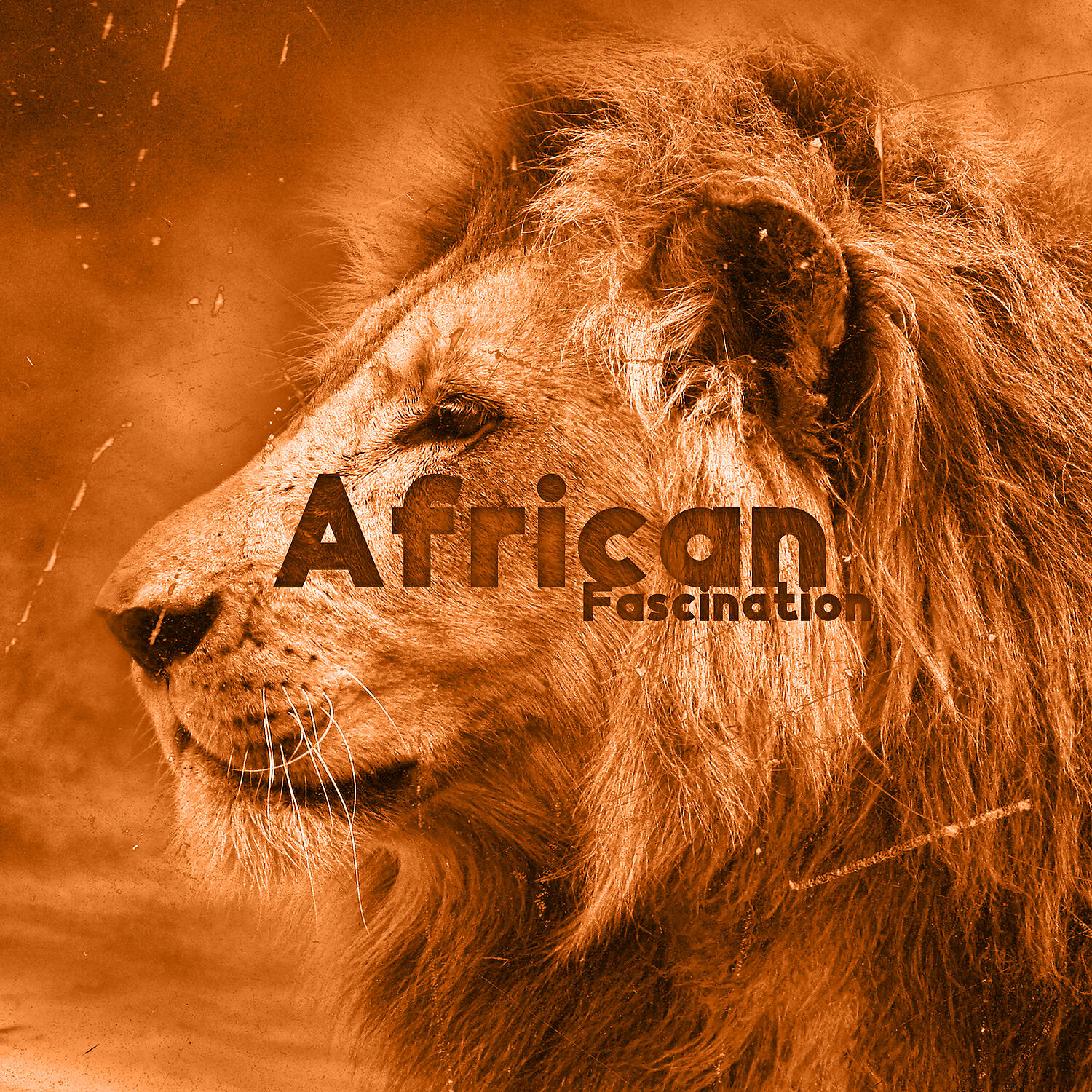 Релиз African Fascination: Drums Meditation, African Rhythms, Tribal Sounds, Spiritual Journey, Guided Meditation