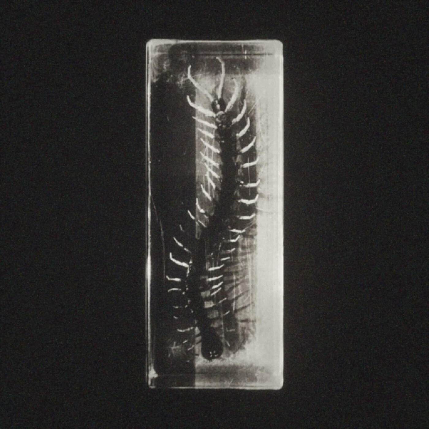 Релиз Tempering