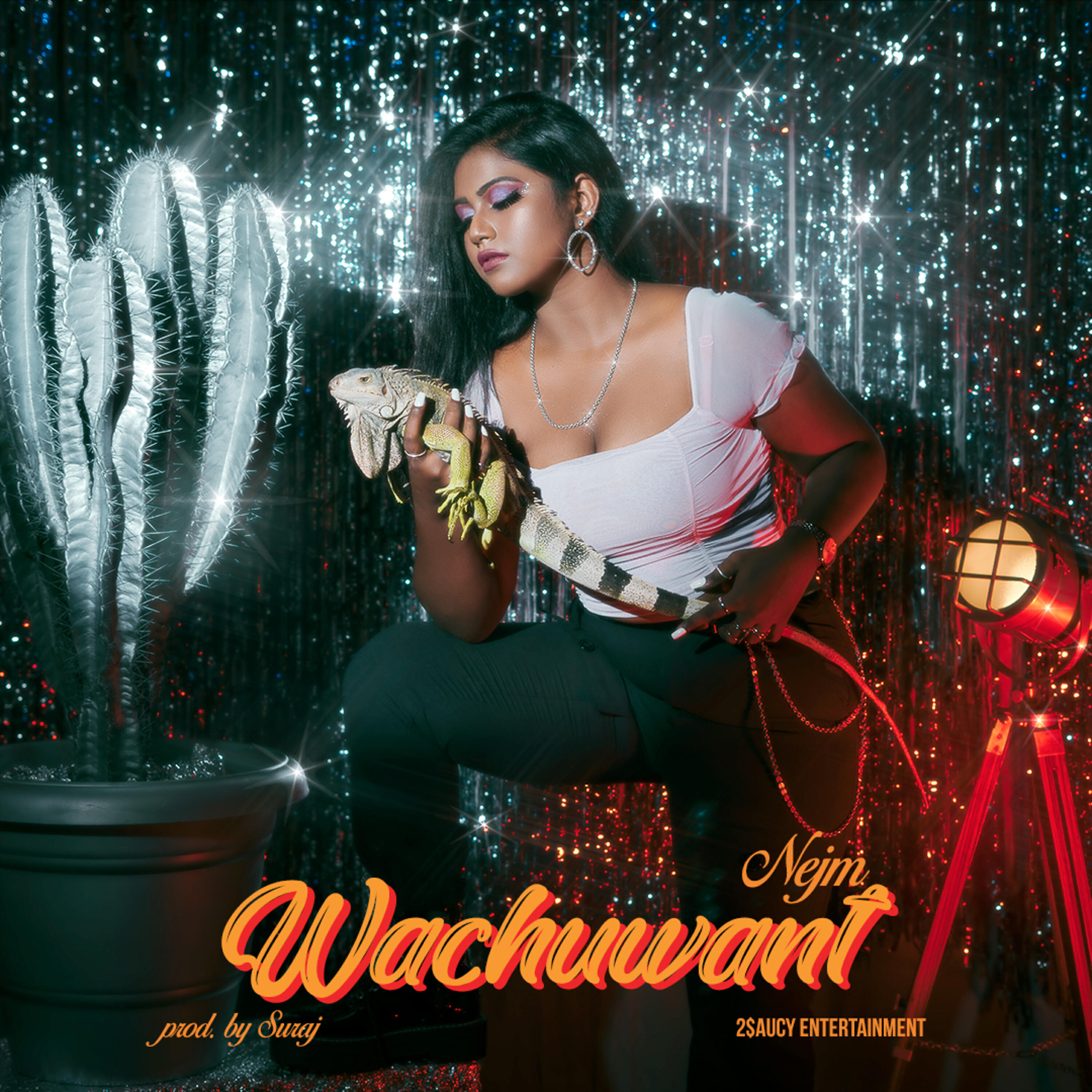 Релиз Wachuwant