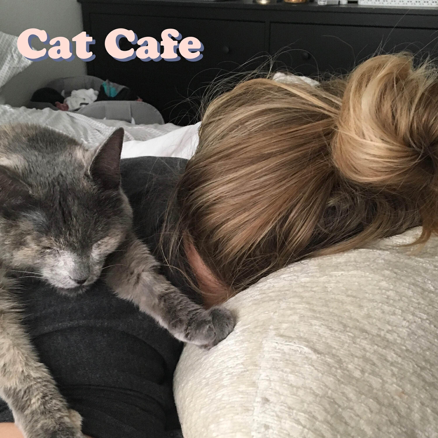 Релиз Cat Cafe