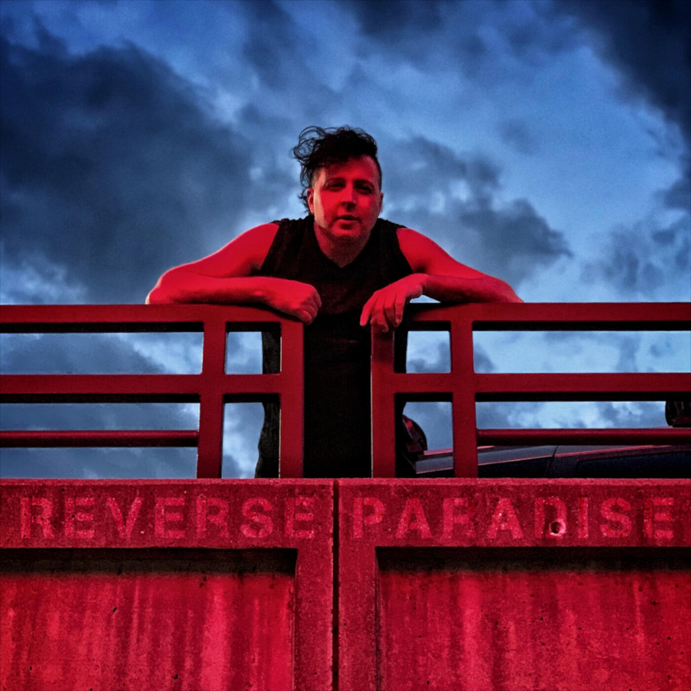 Релиз Reverse Paradise