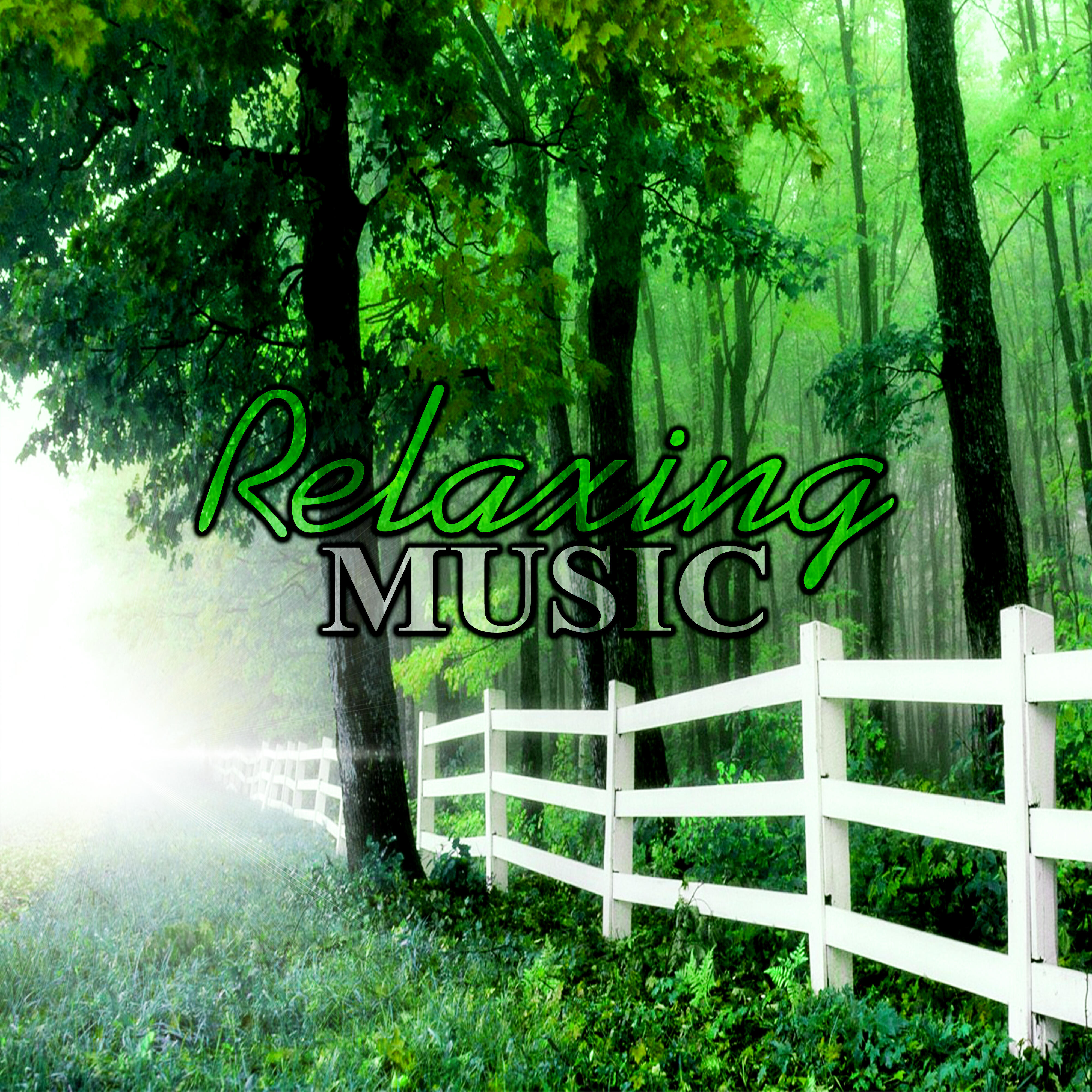 Релиз Relaxing Music – Piano Bar Background Music, New Age Relaxation, Yoga, Reiki, Nature Sounds for Deep Sleep, Calm Baby, Sleep Lullaby, Meditation, Jazz Cafe