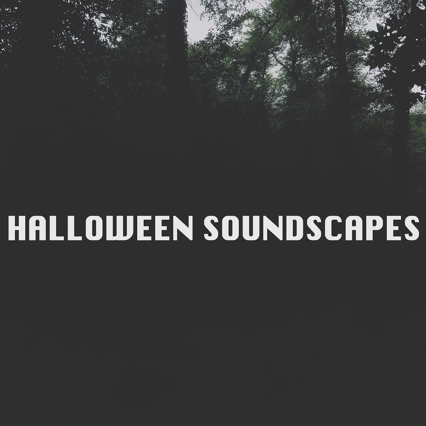 Perfect Horror Noise
