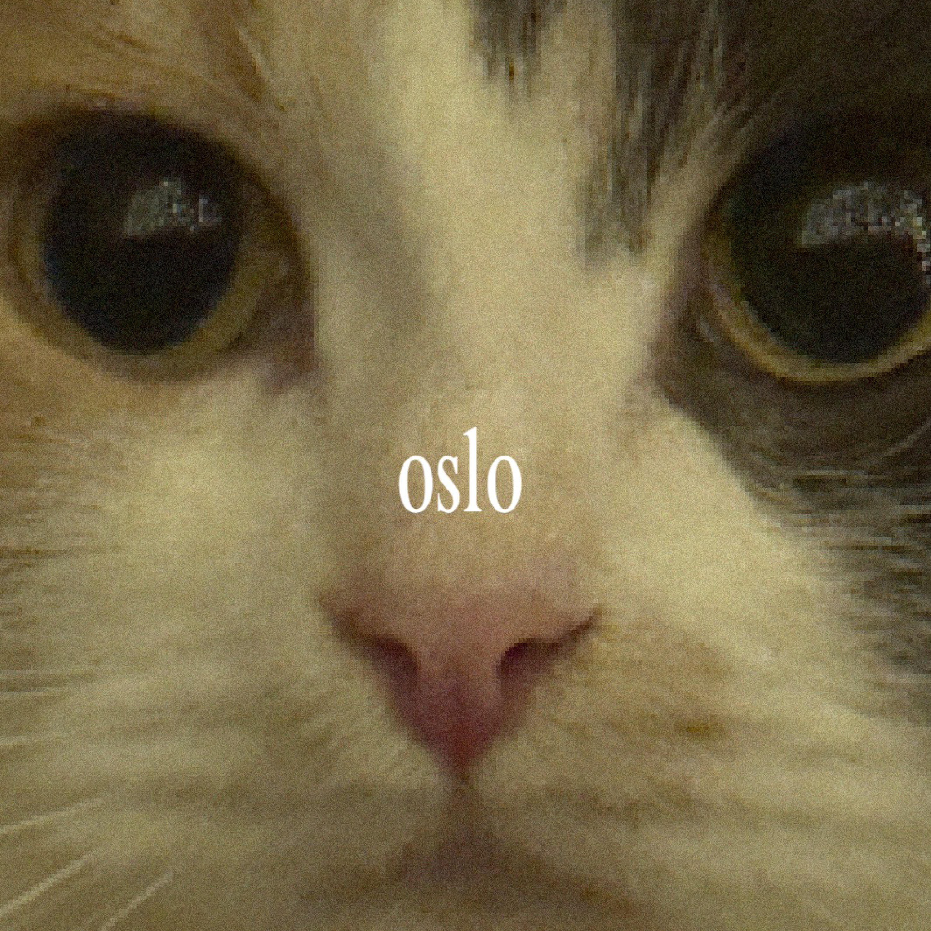 Релиз осло