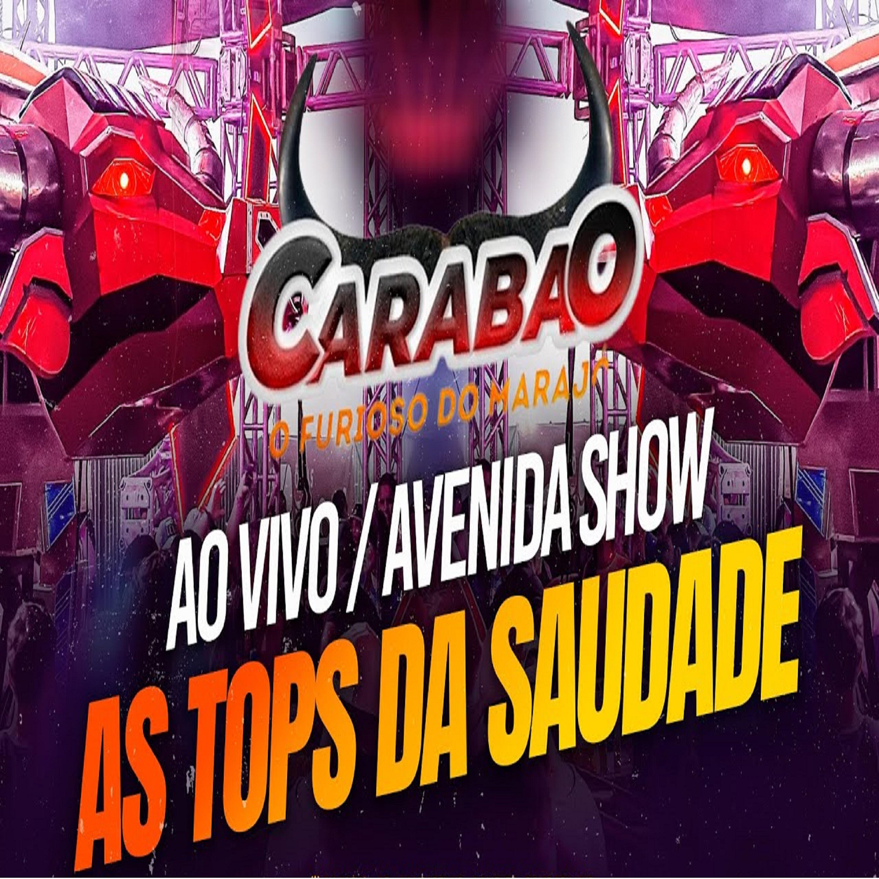 Релиз Carabao Ao Vivo Avenida Show