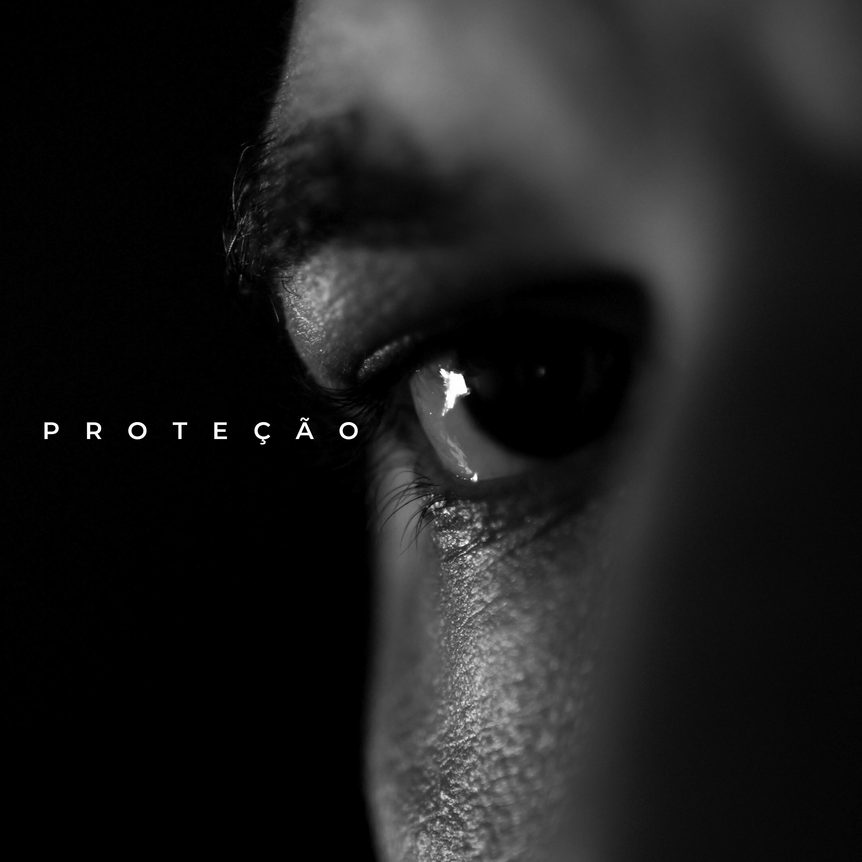 Релиз Proteção