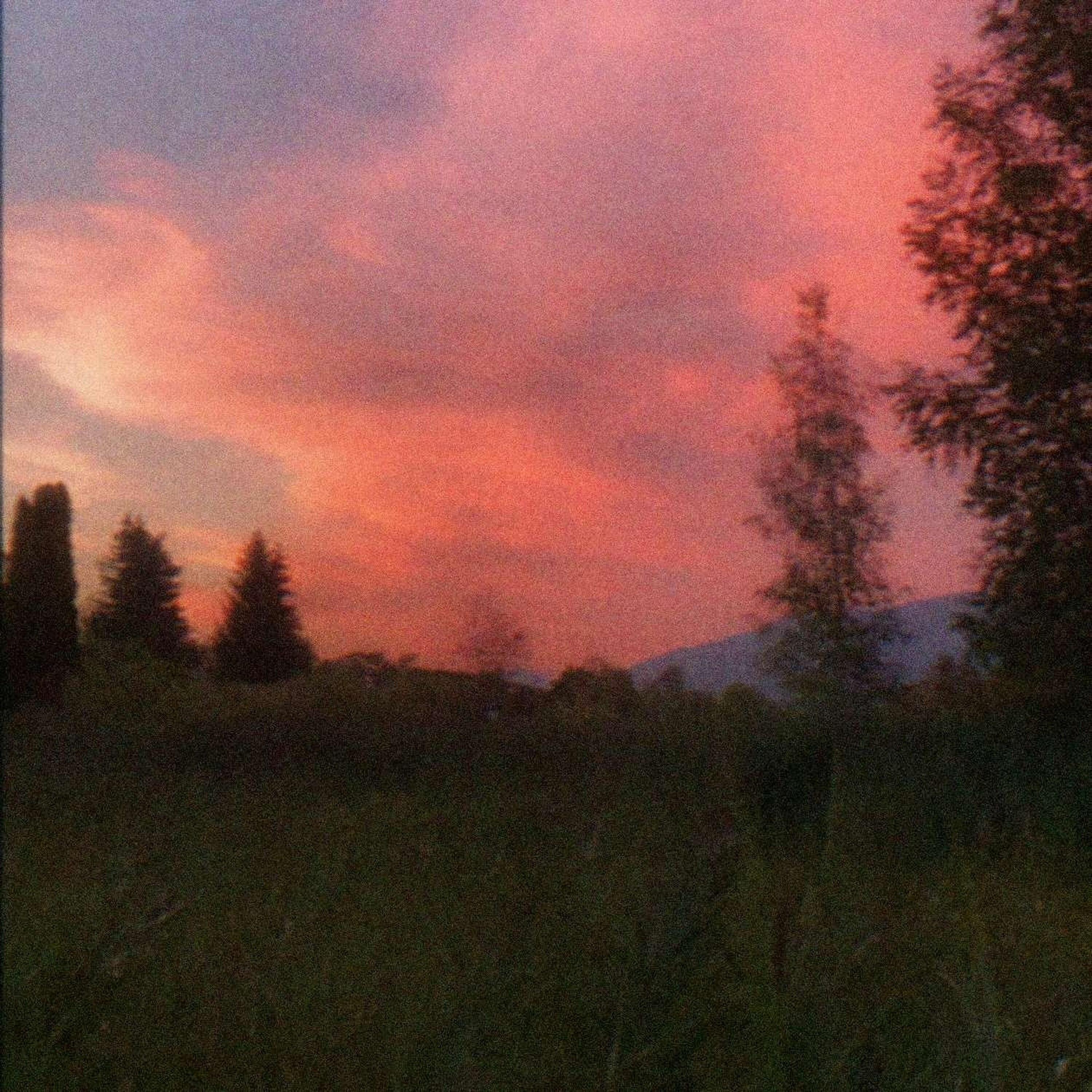 Релиз goodbye