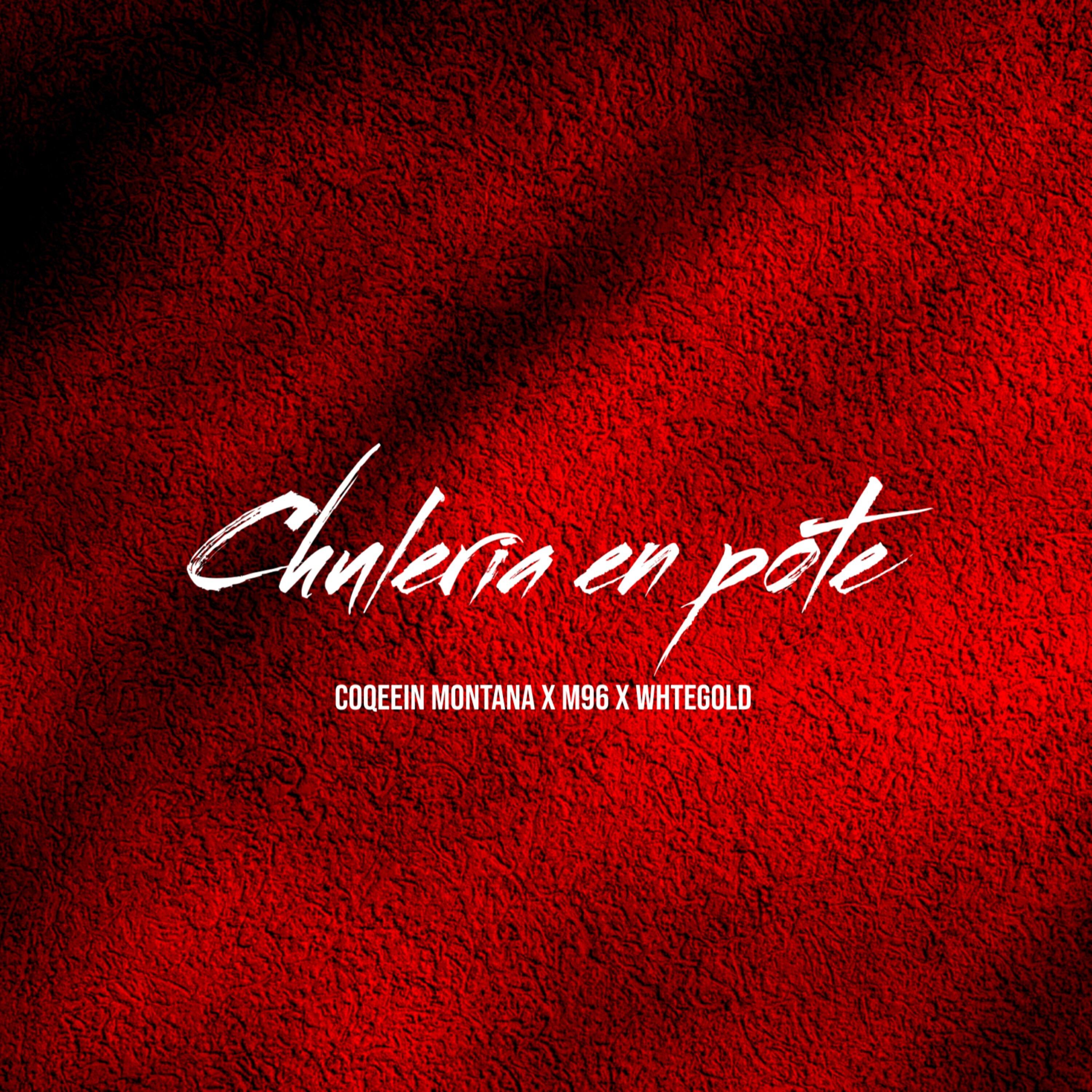 Релиз Chuleria en Pote