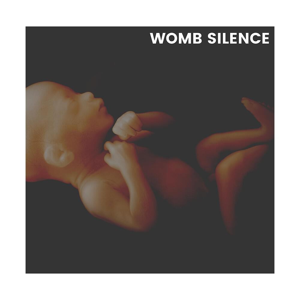 Релиз Womb Silence