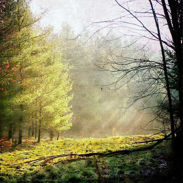 Релиз Borrowing The Past (Hammock Remix) - Single