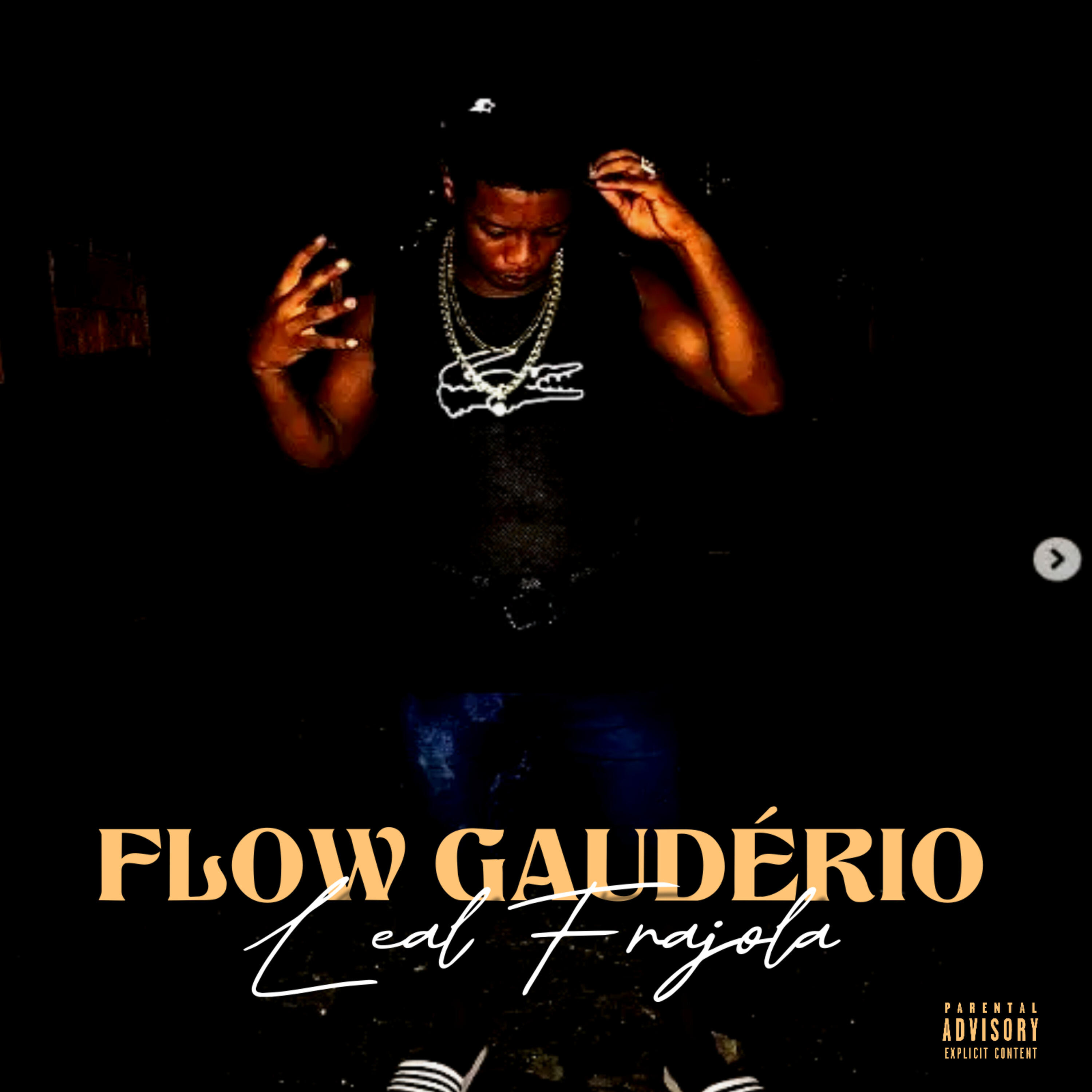 Релиз Flow Gaudério