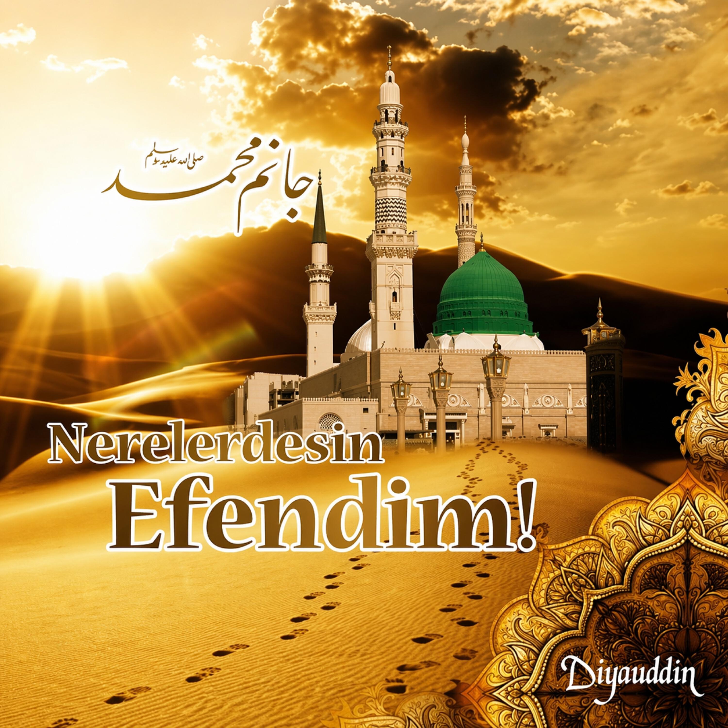 Diyauddin