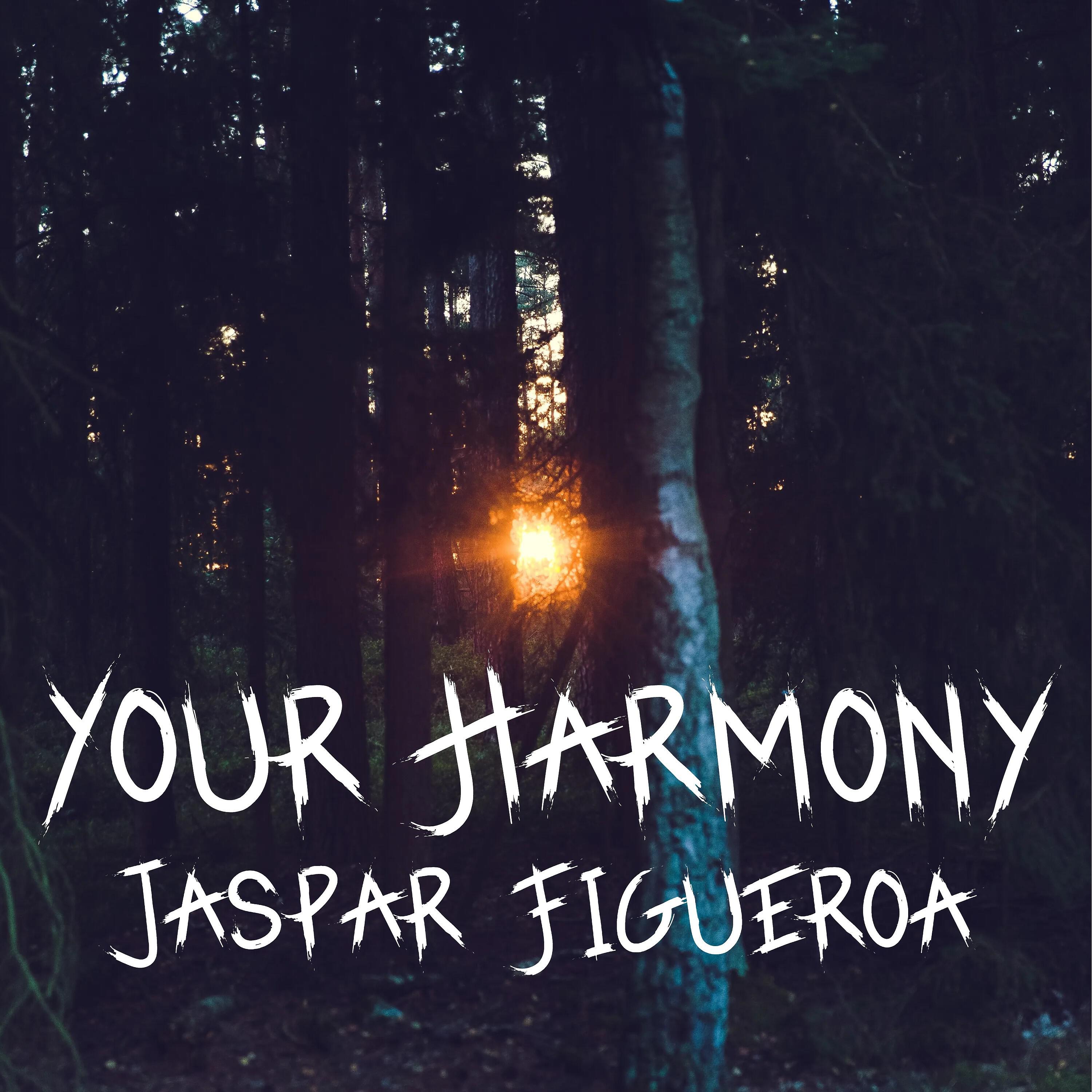 Релиз Your Harmony