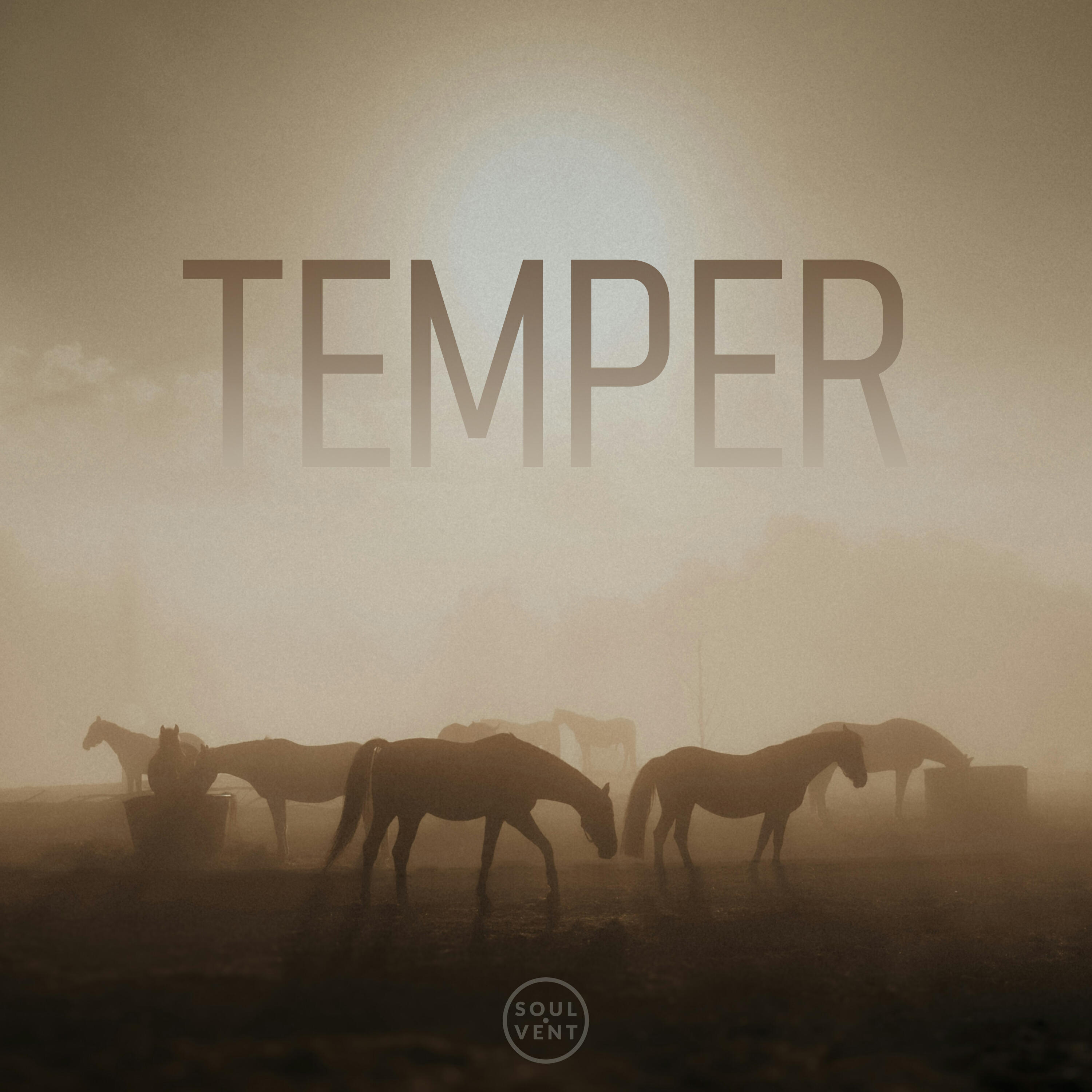 Релиз Temper