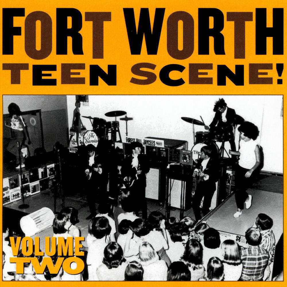 Релиз Fort Worth Teen Scene!, Vol. 2