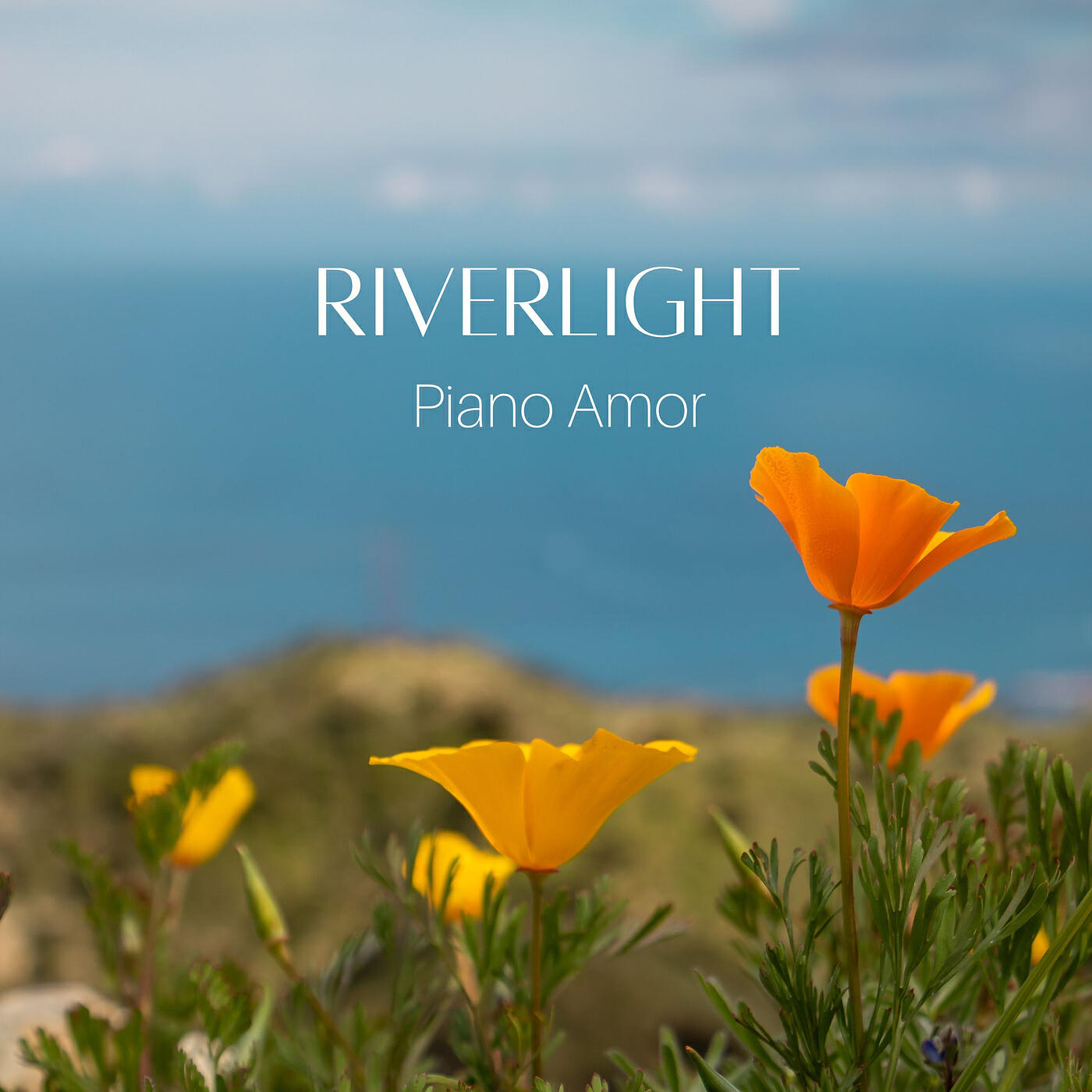 Релиз Riverlight