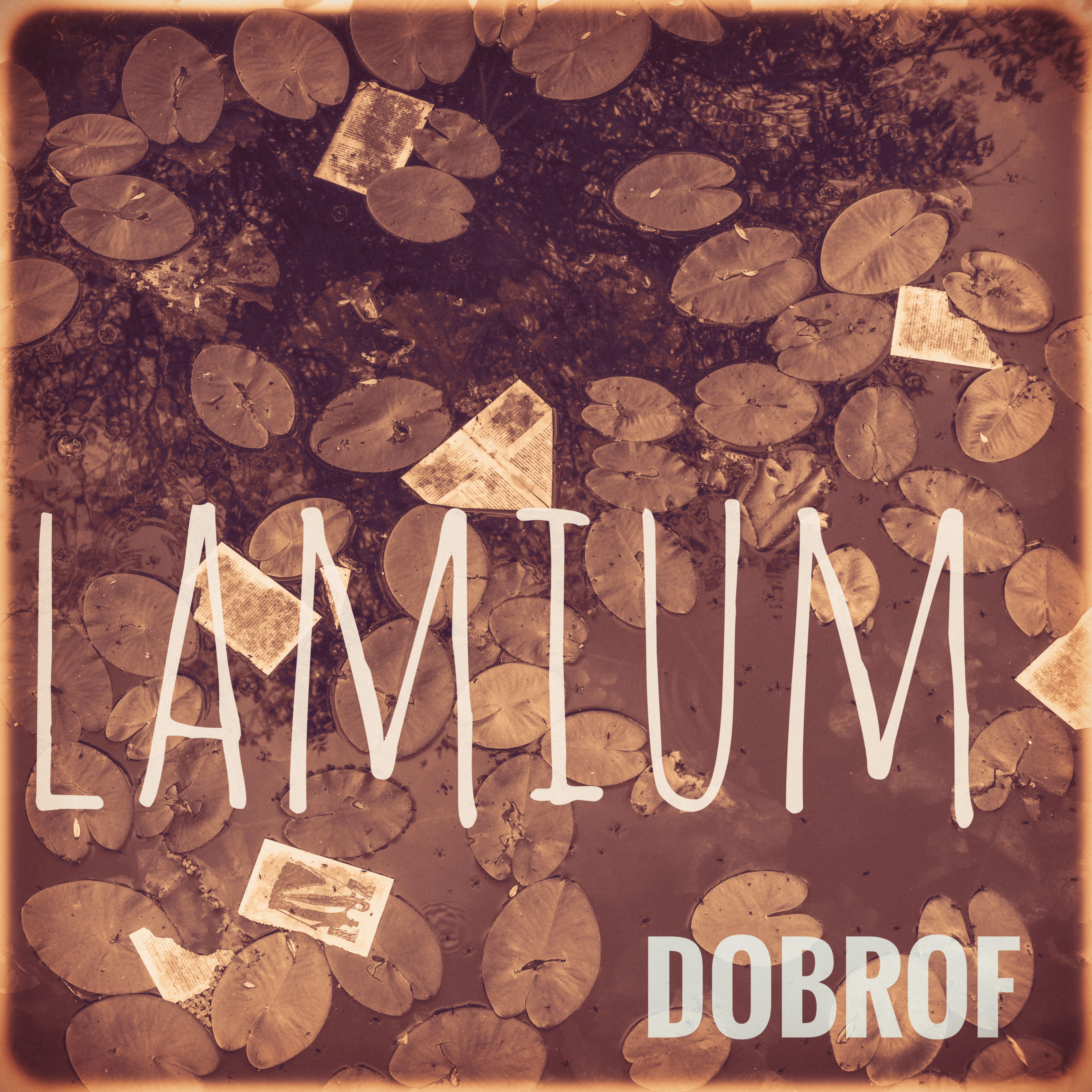 Dobrof