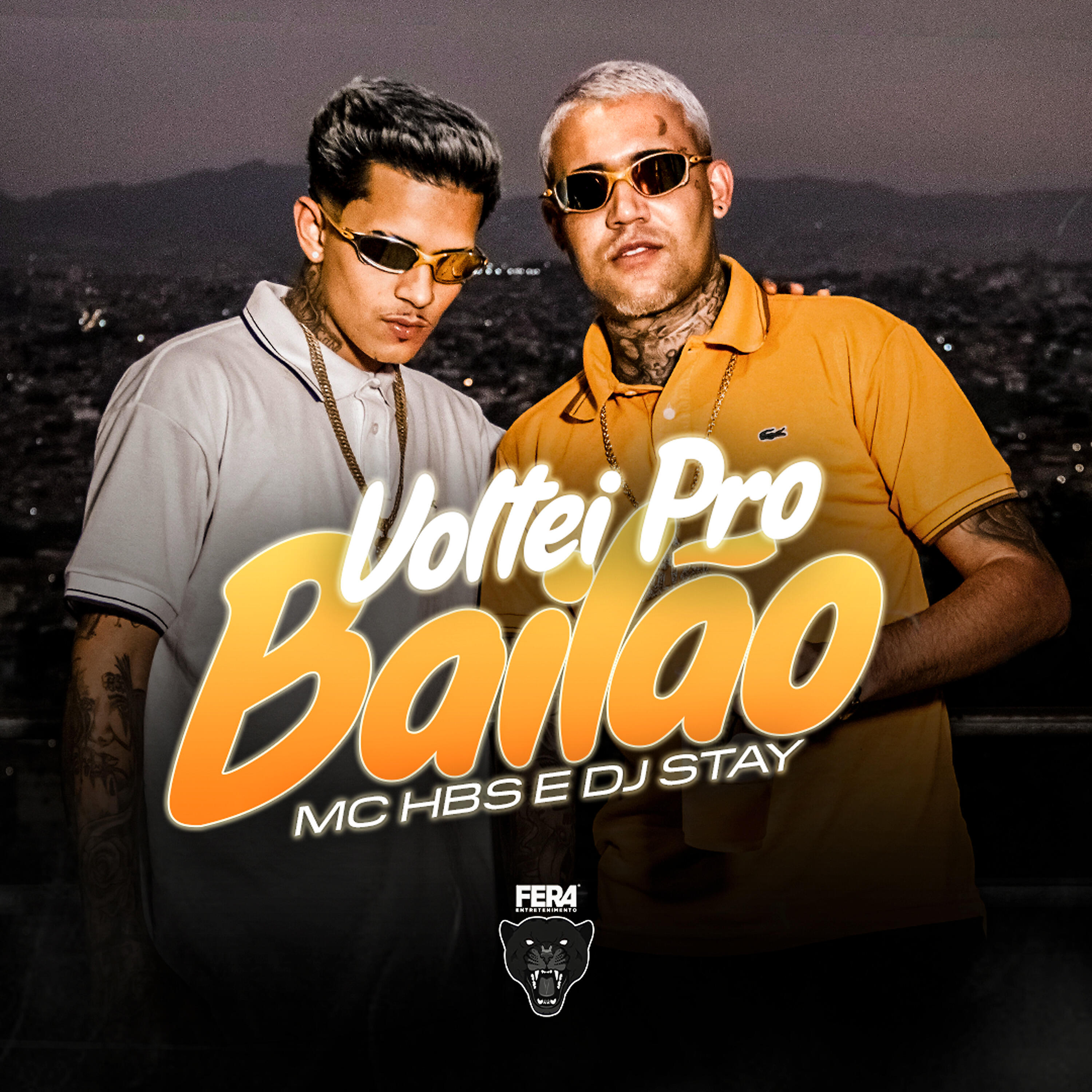 Релиз Voltei pro Bailão
