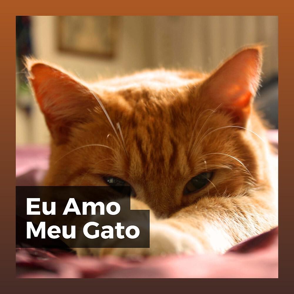 Релиз Eu Amo Meu Gato