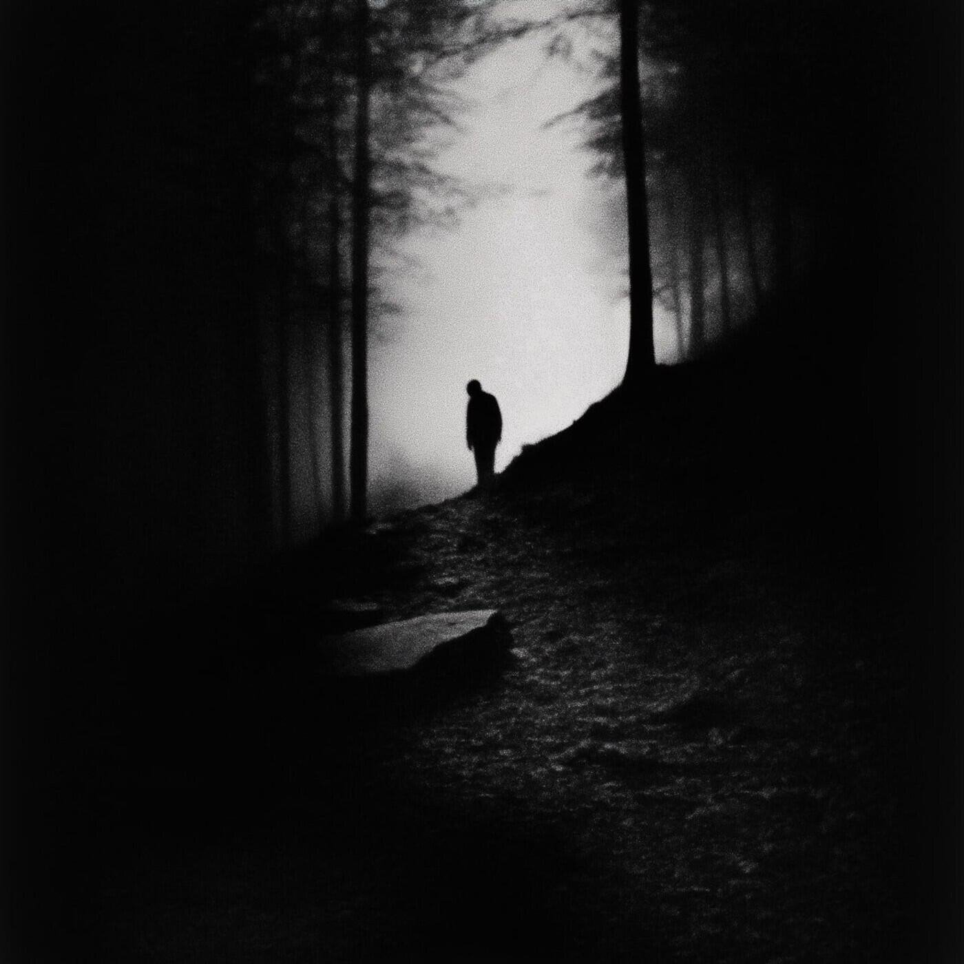 Постер альбома Twilight Reverie