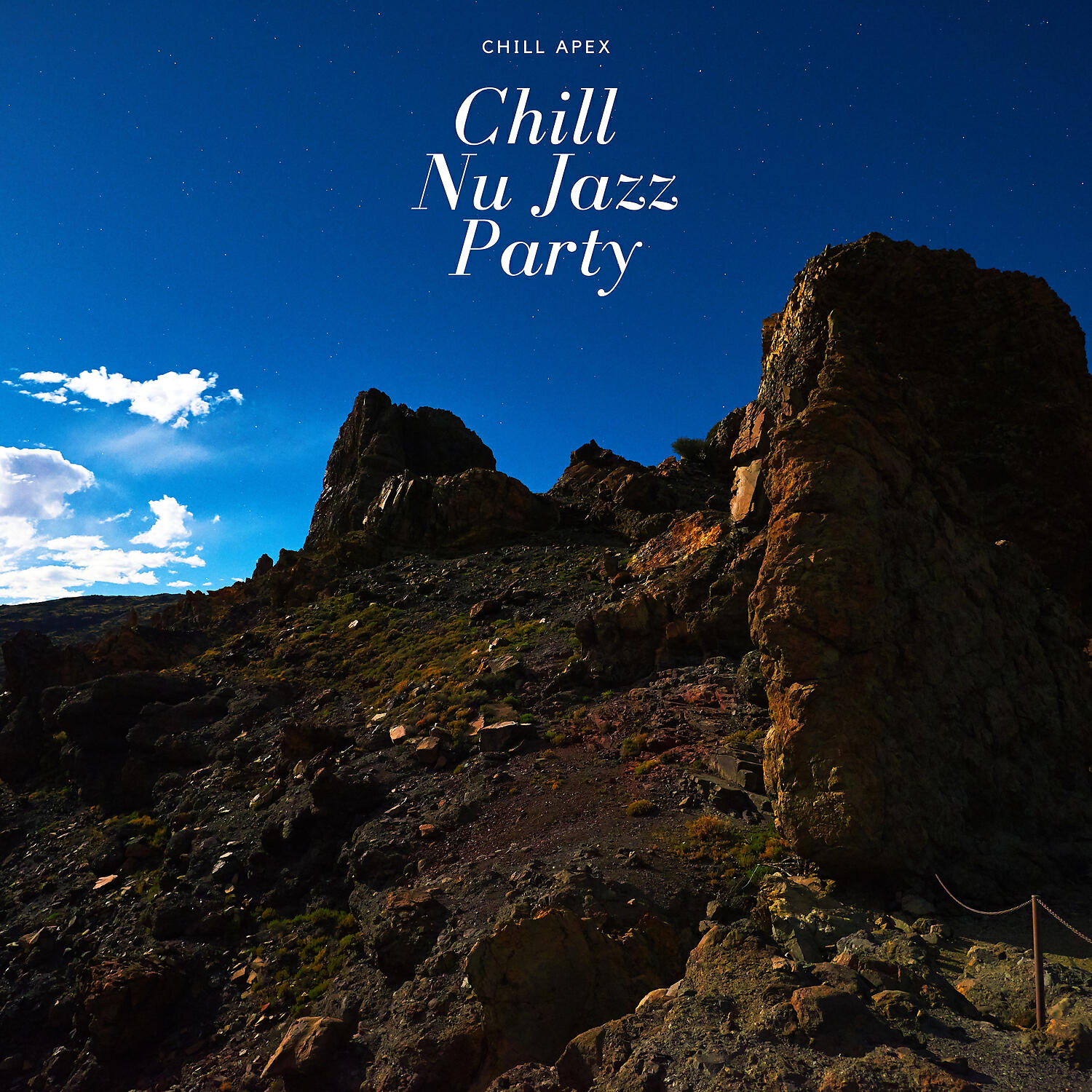 Релиз Chill Nu Jazz Party