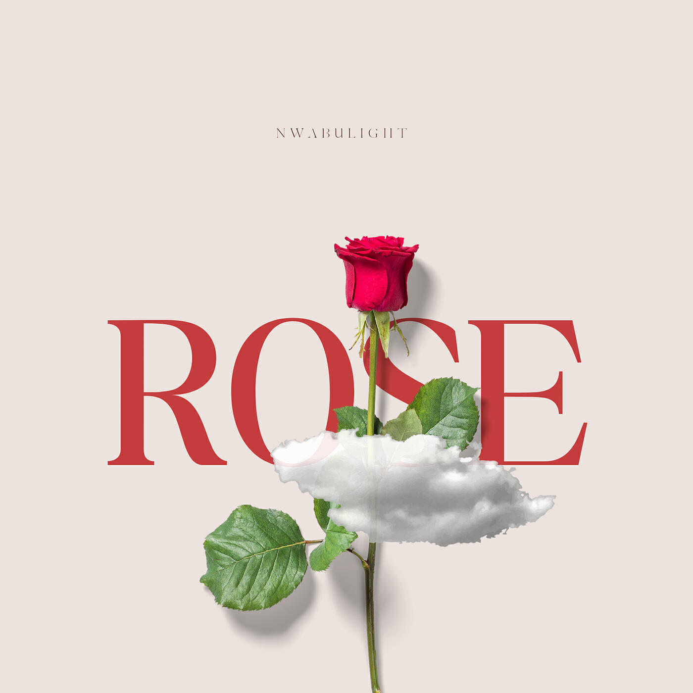 Релиз Rose