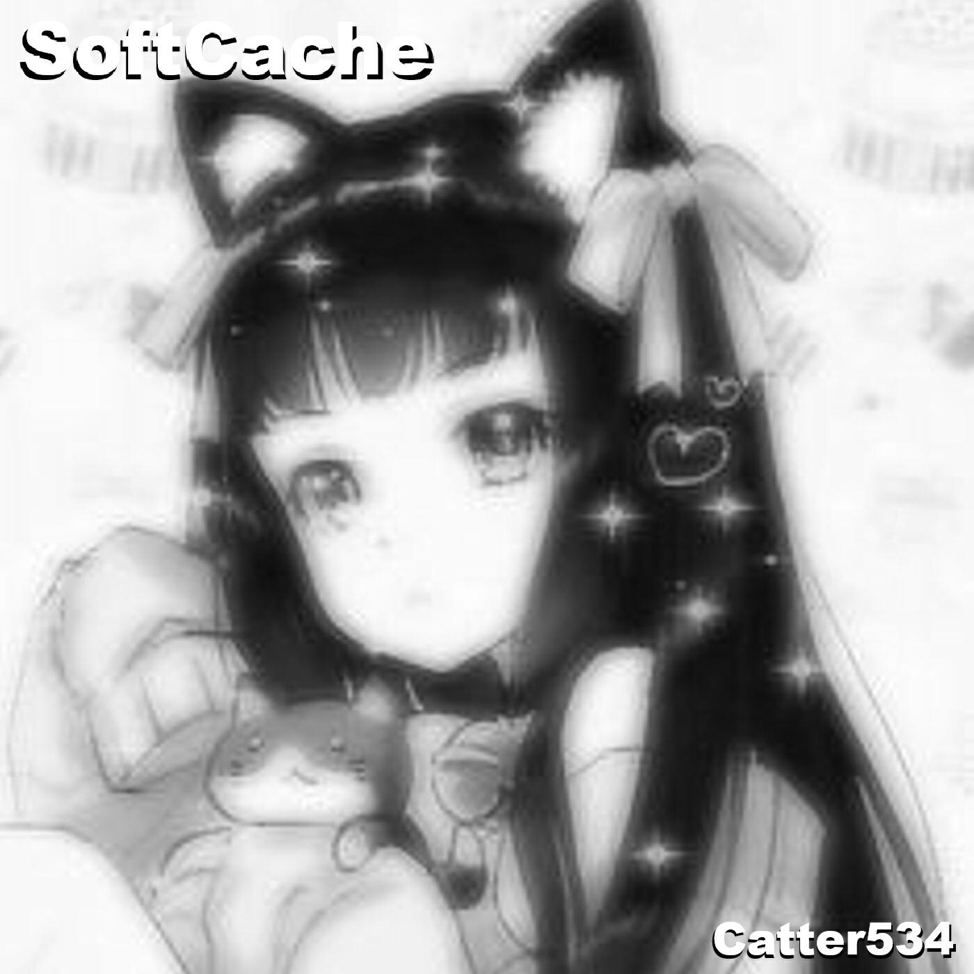 Релиз SoftCache