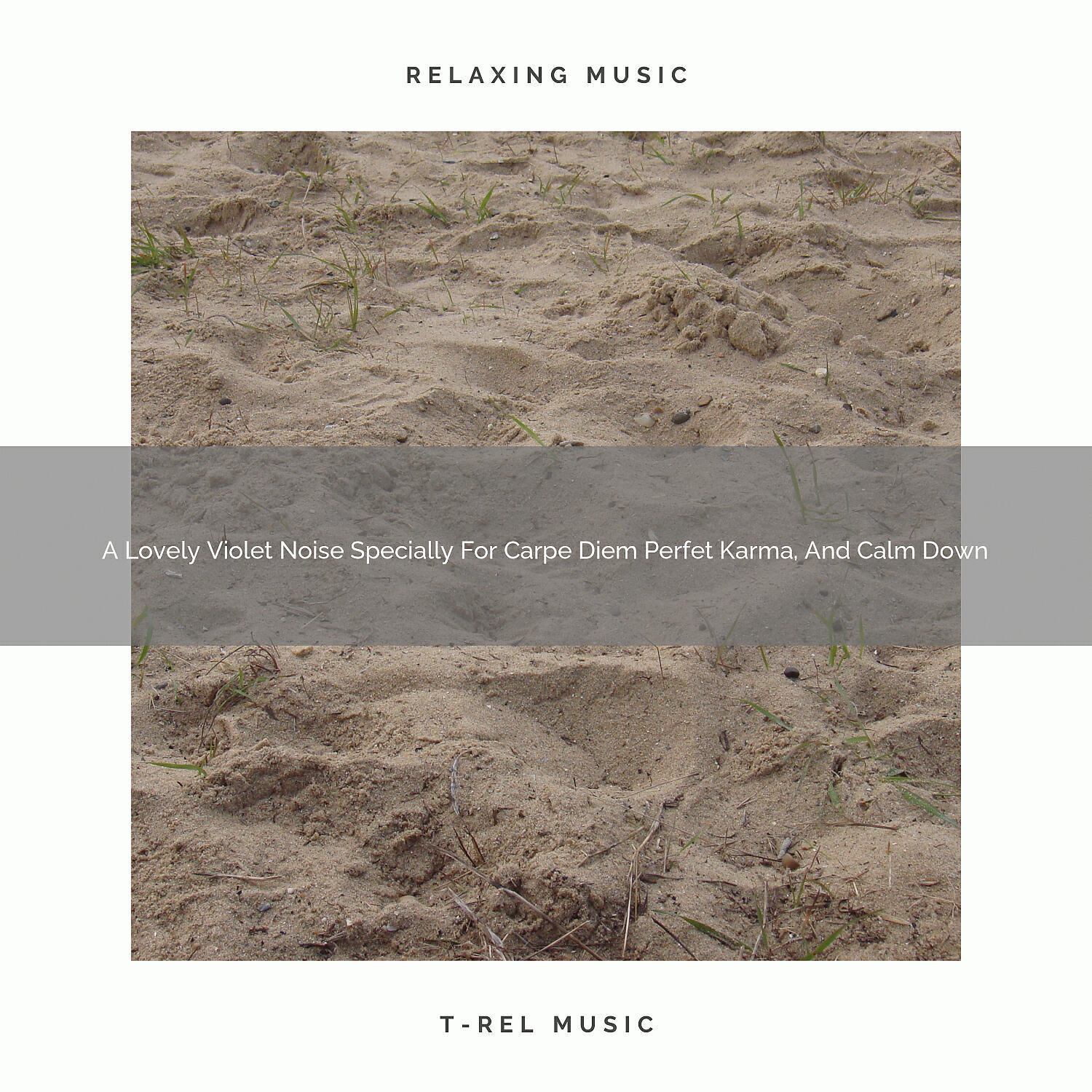 Релиз A Lovely Violet Noise Specially For Carpe Diem Perfet Karma, And Calm Down