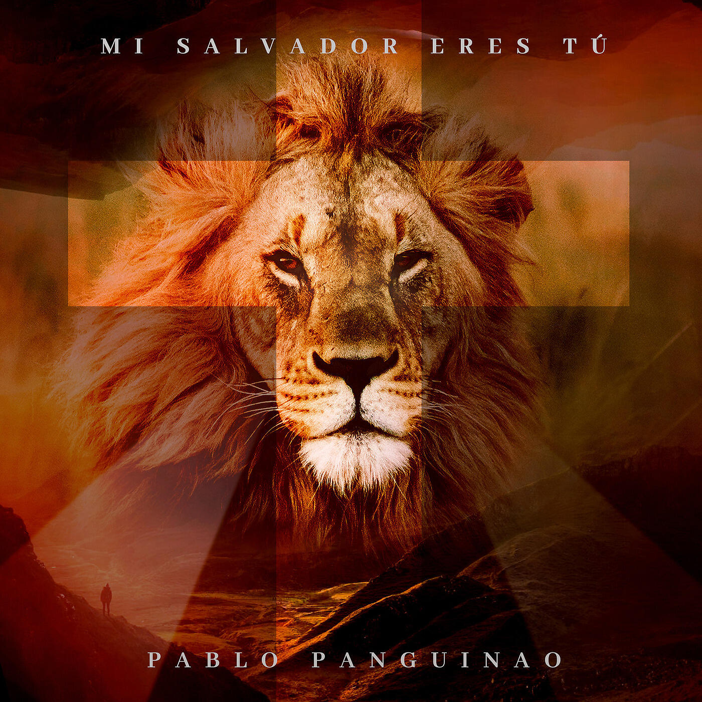 Релиз Mi Salvador Eres Tú