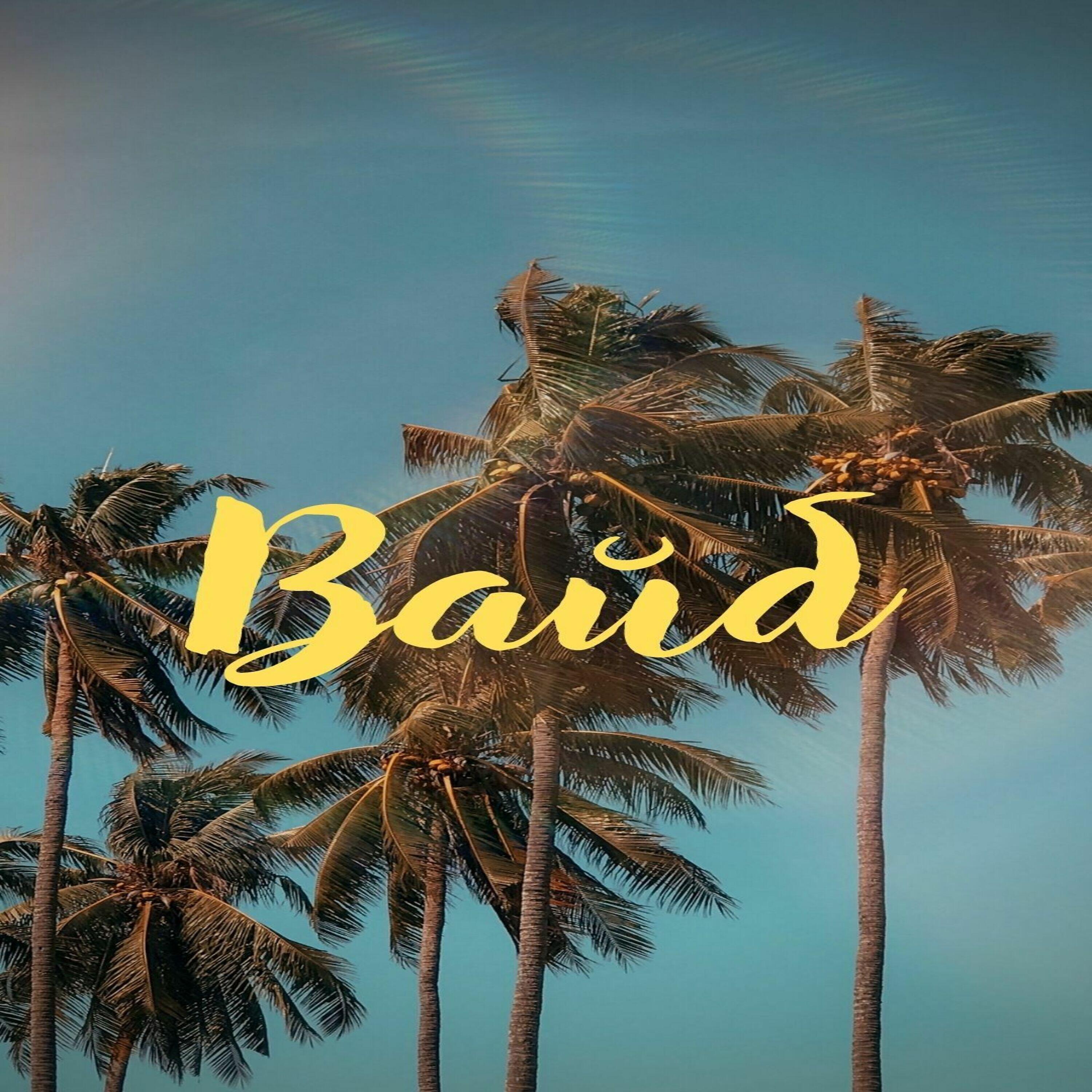 Релиз Вайб
