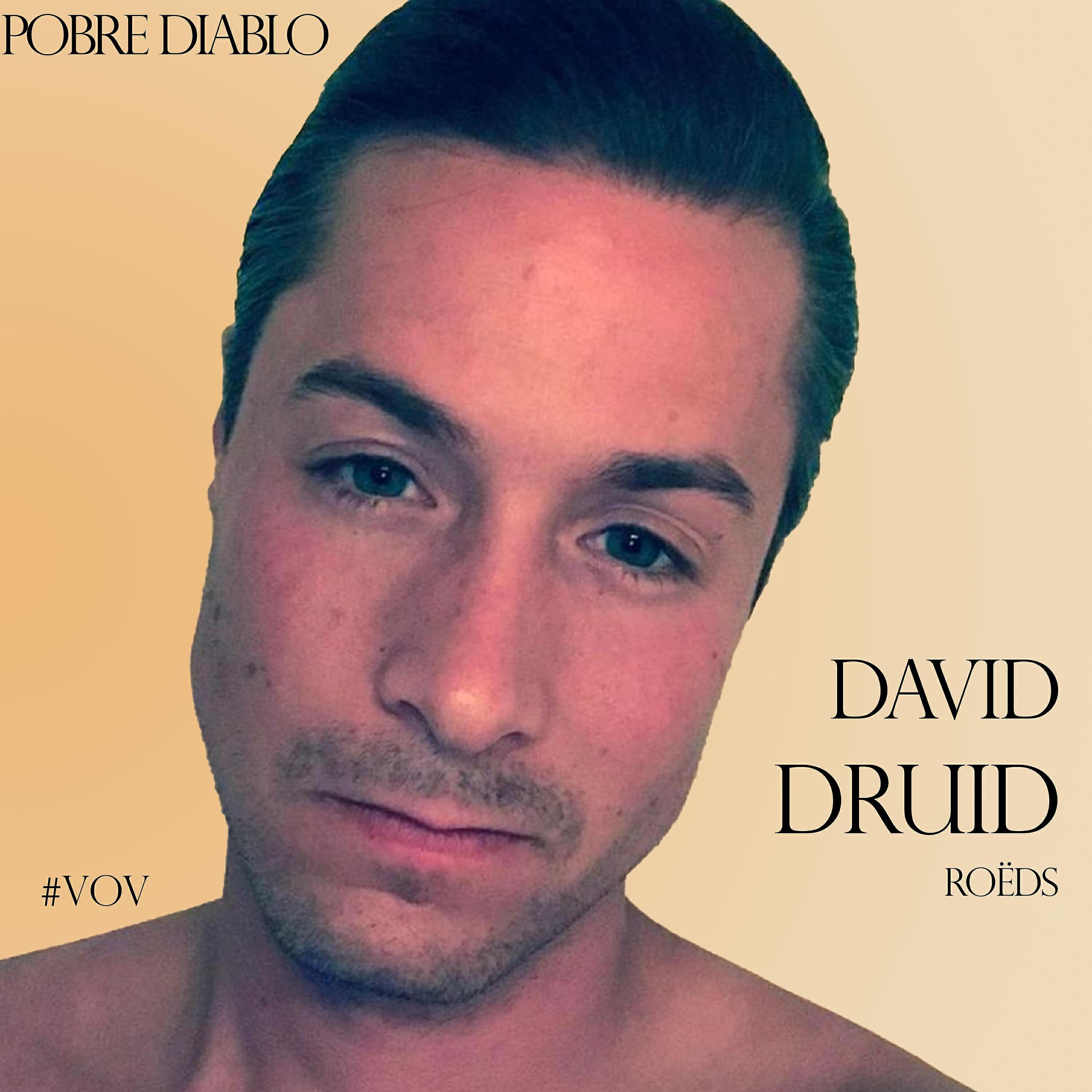 David Druid