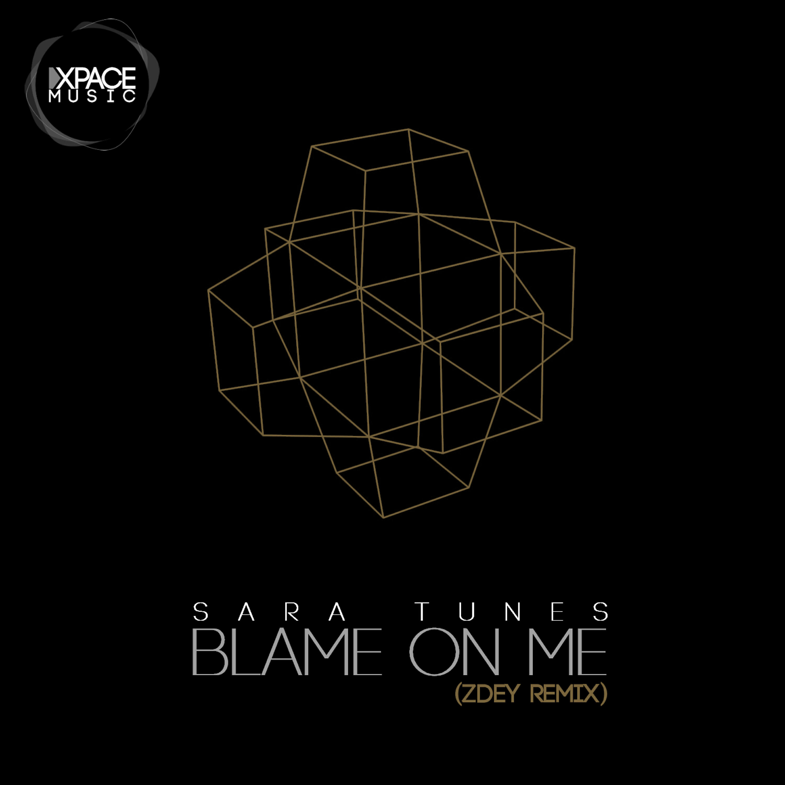 Релиз Blame on Me (Zdey Remix)