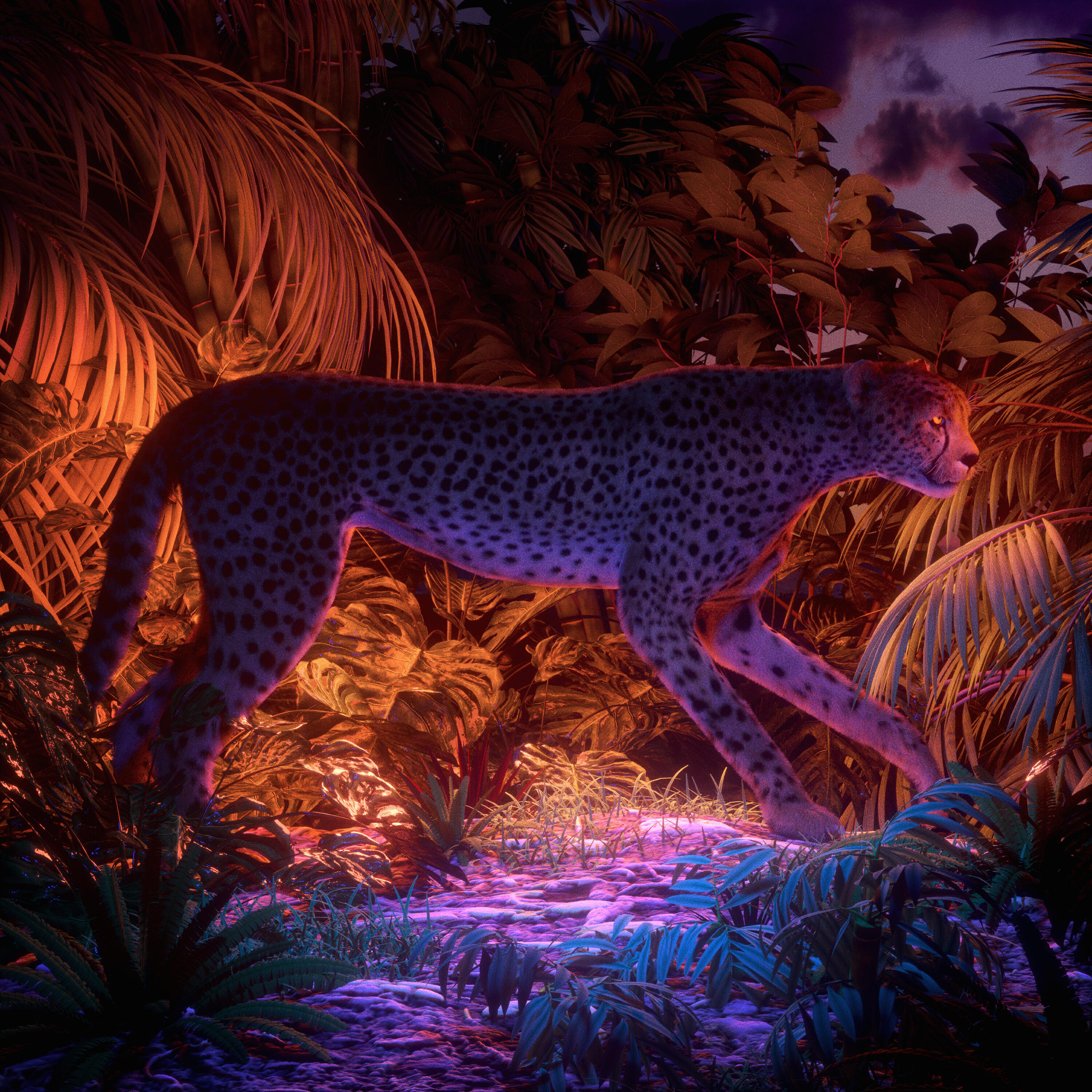 Релиз Guépard